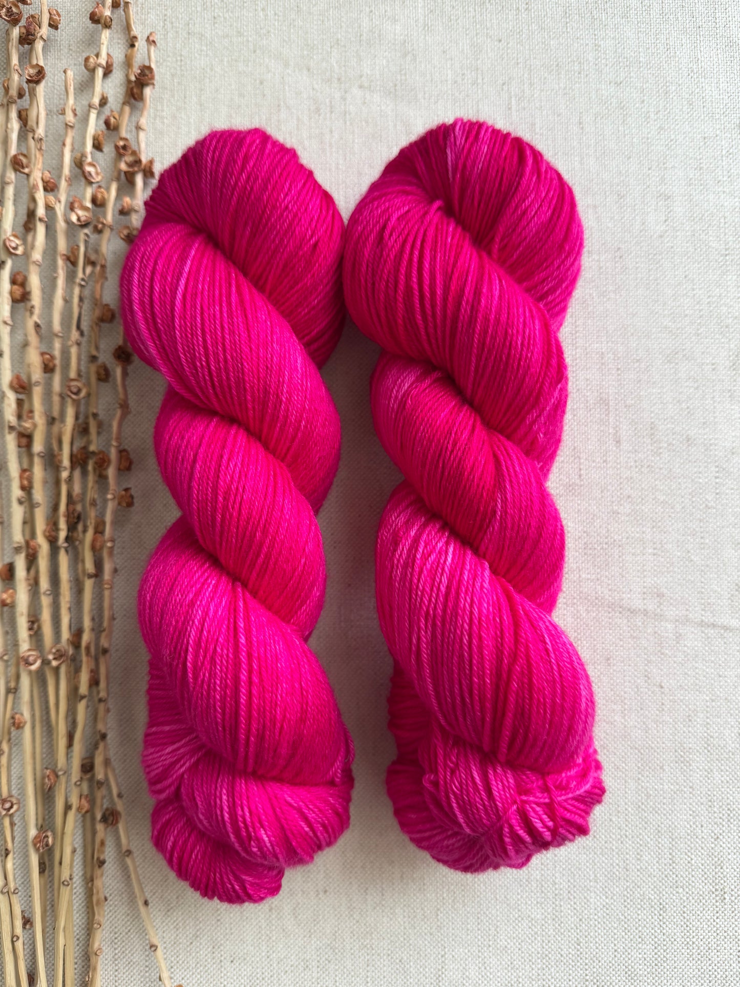 Polar Red SW Merino Nylon 100g Skein