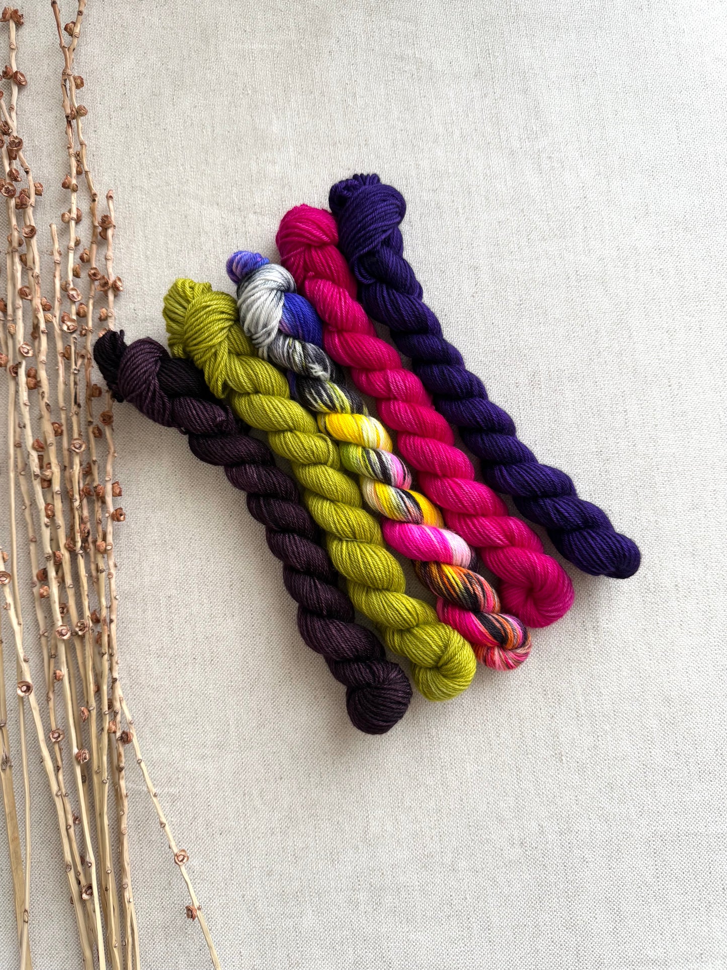 Zesty - SW Merino Nylon Mini Skein Set