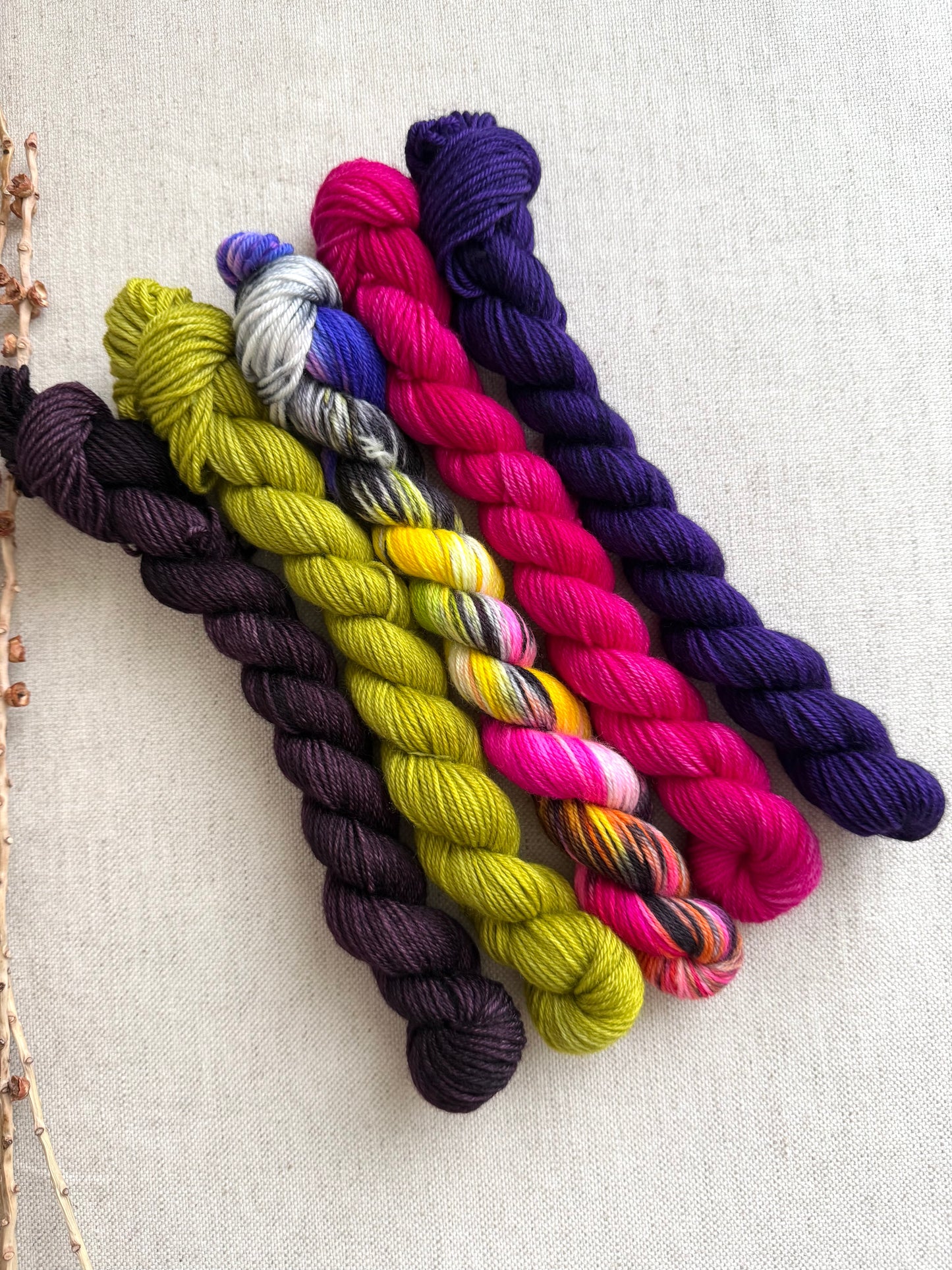 Zesty - SW Merino Nylon Mini Skein Set