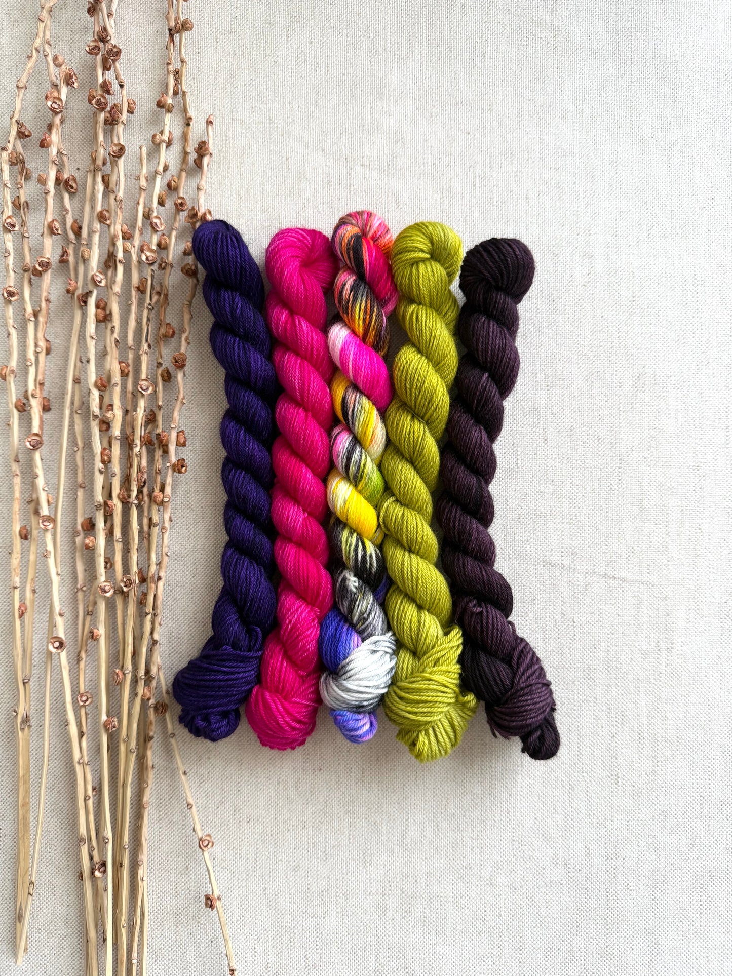 Zesty - SW Merino Nylon Mini Skein Set