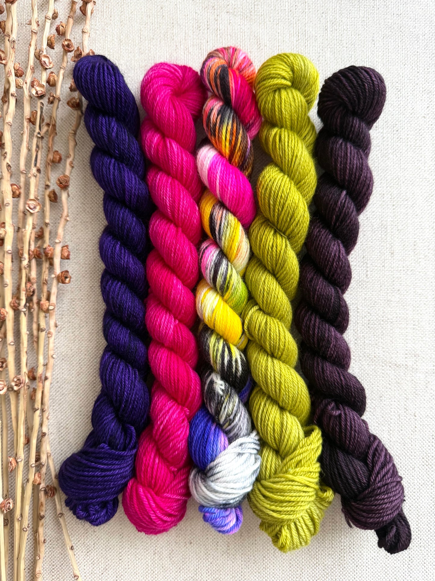 Zesty - SW Merino Nylon Mini Skein Set