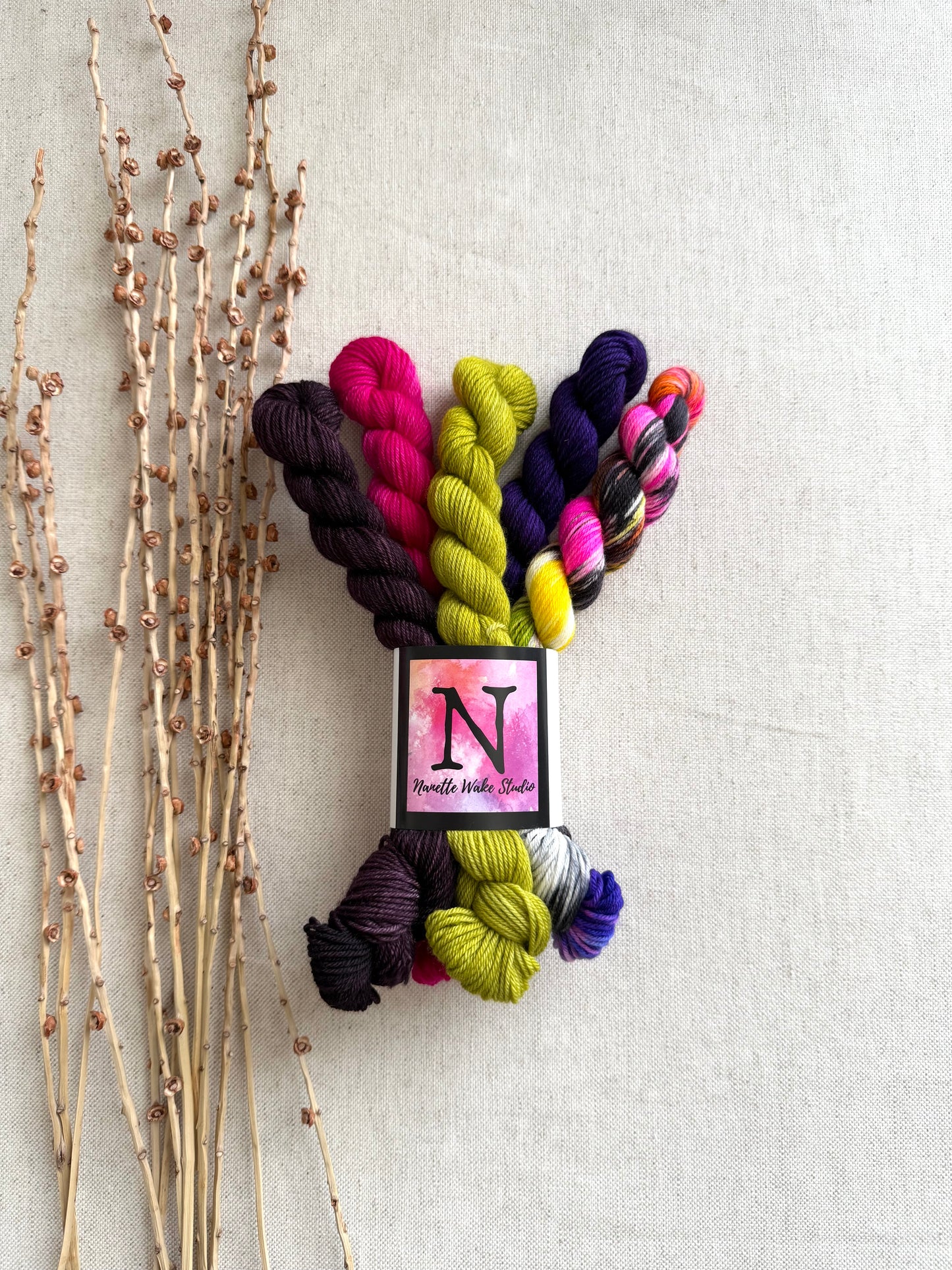 Zesty - SW Merino Nylon Mini Skein Set