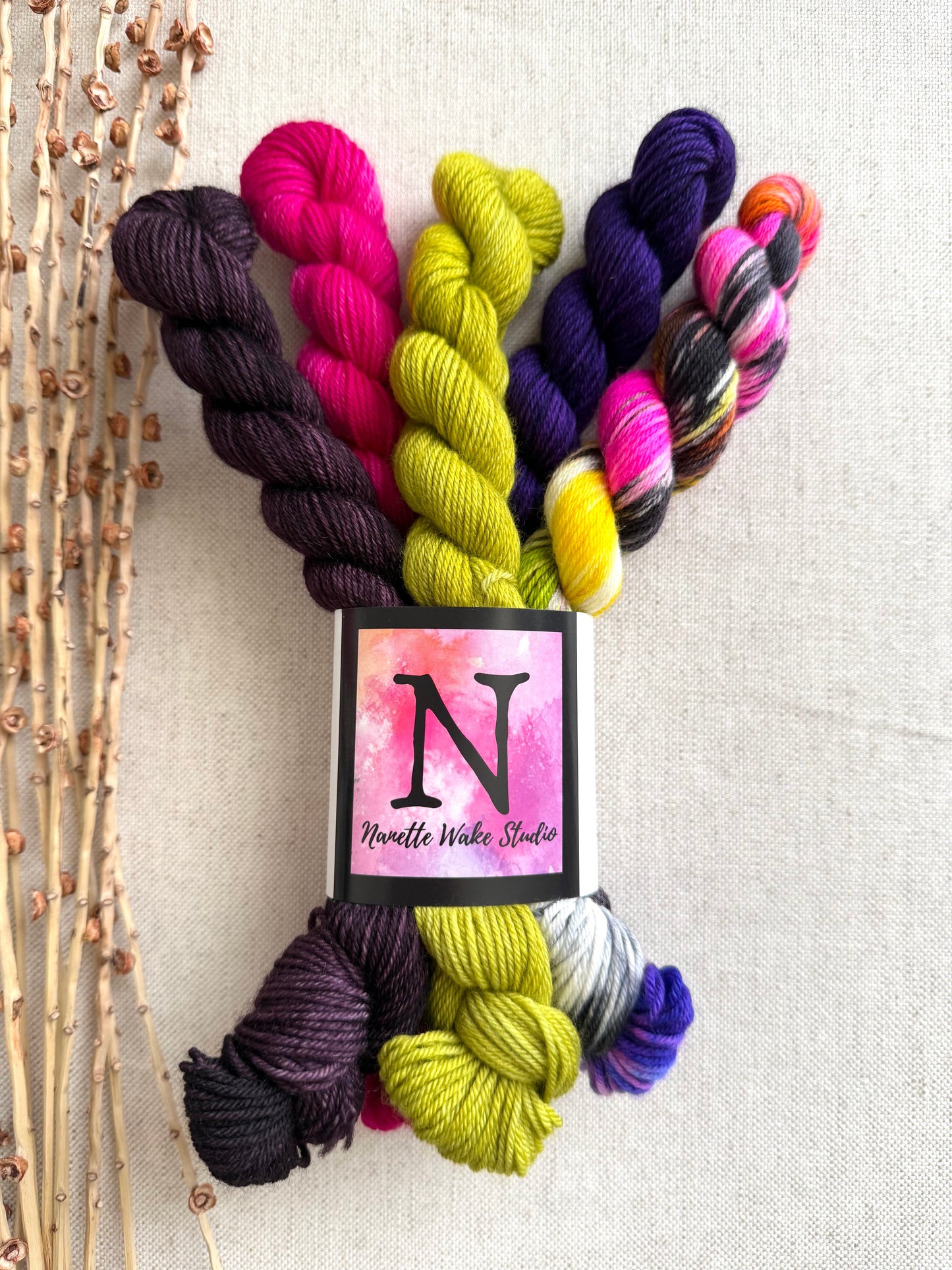 Zesty - SW Merino Nylon Mini Skein Set