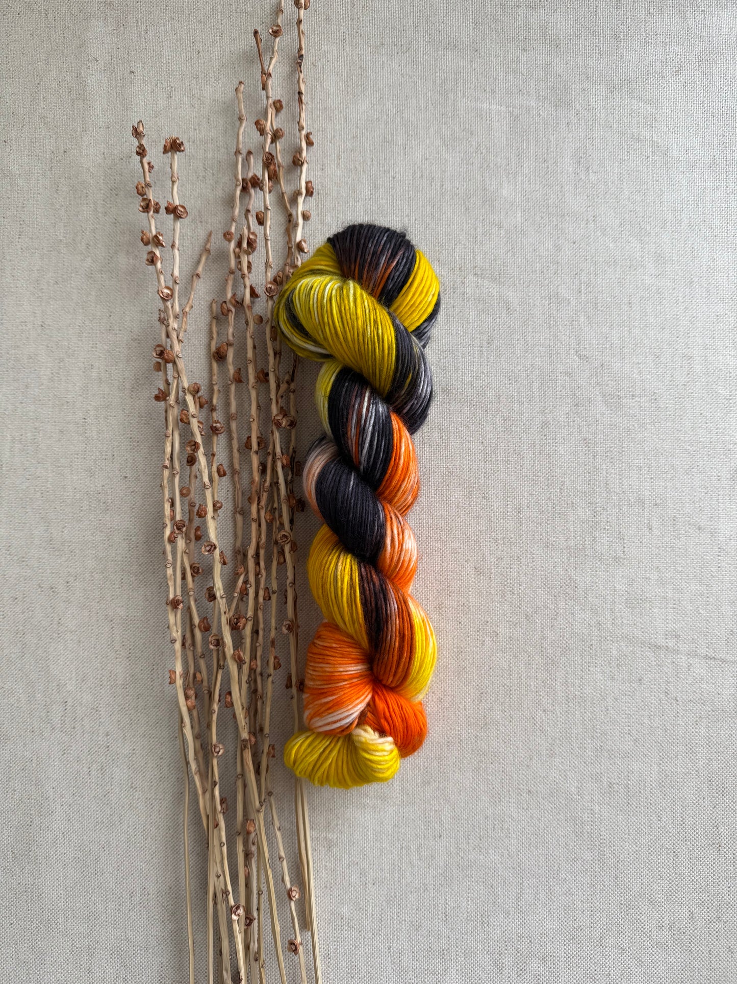 Licorice Twist 100% SW Merino DK