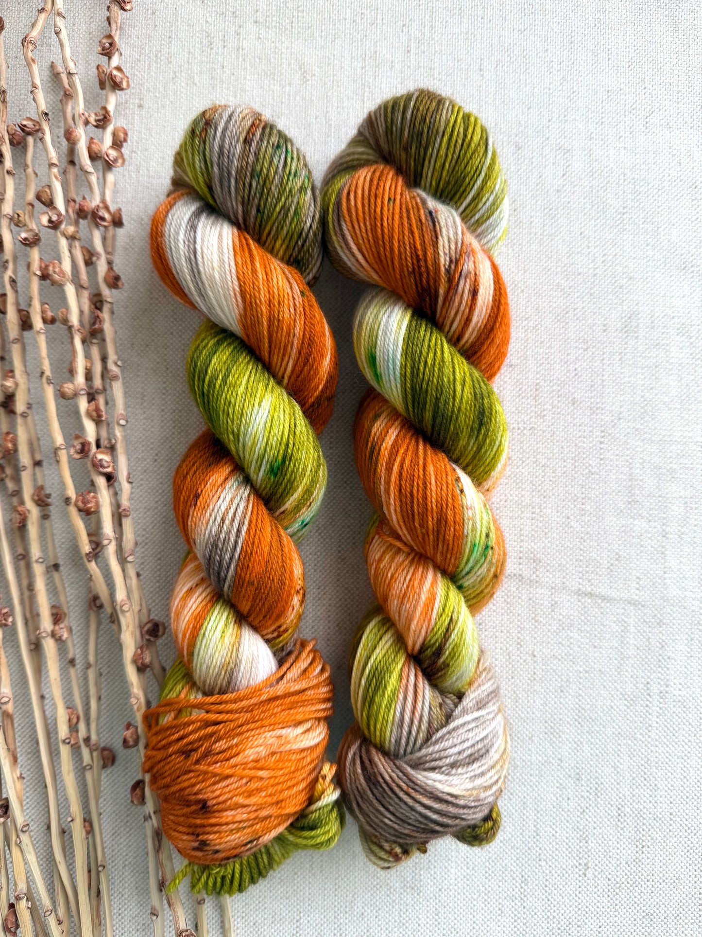 Pumpkinhead Jr. SW Merino Nylon 50g Skein