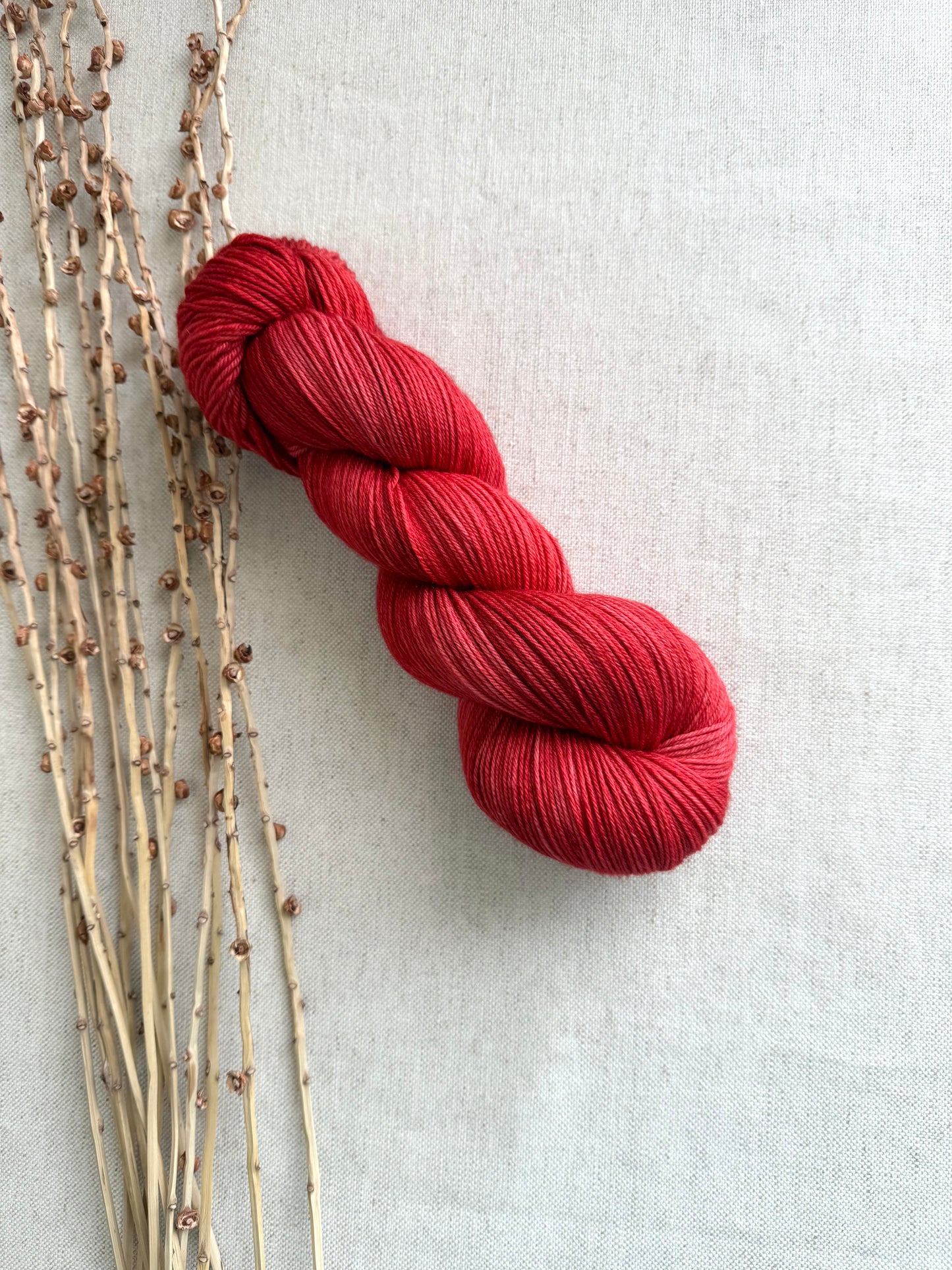 Chili Powder SW Merino Nylon Yarn