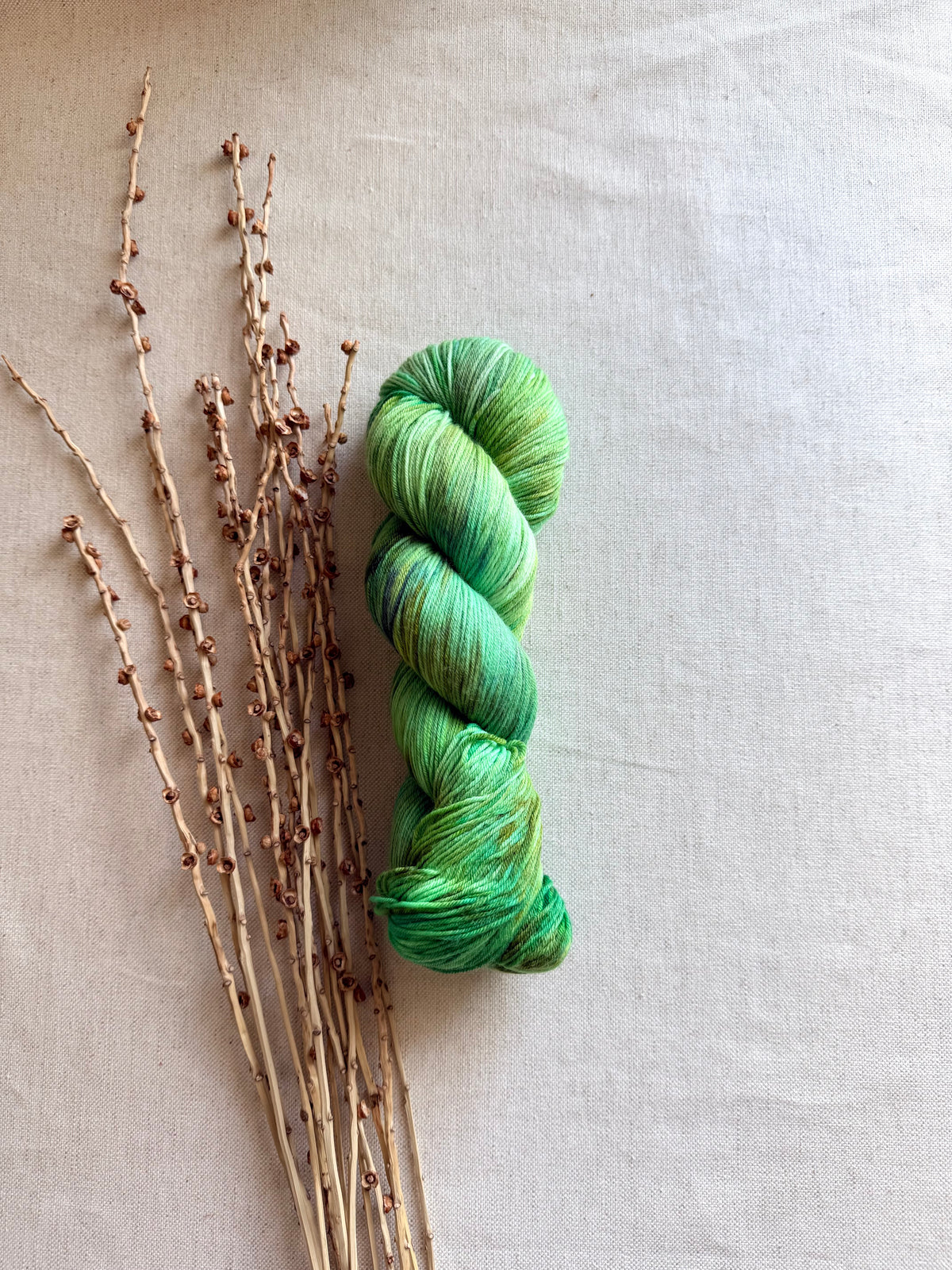 Lucky Shamrock - Sturdy Sock 100g