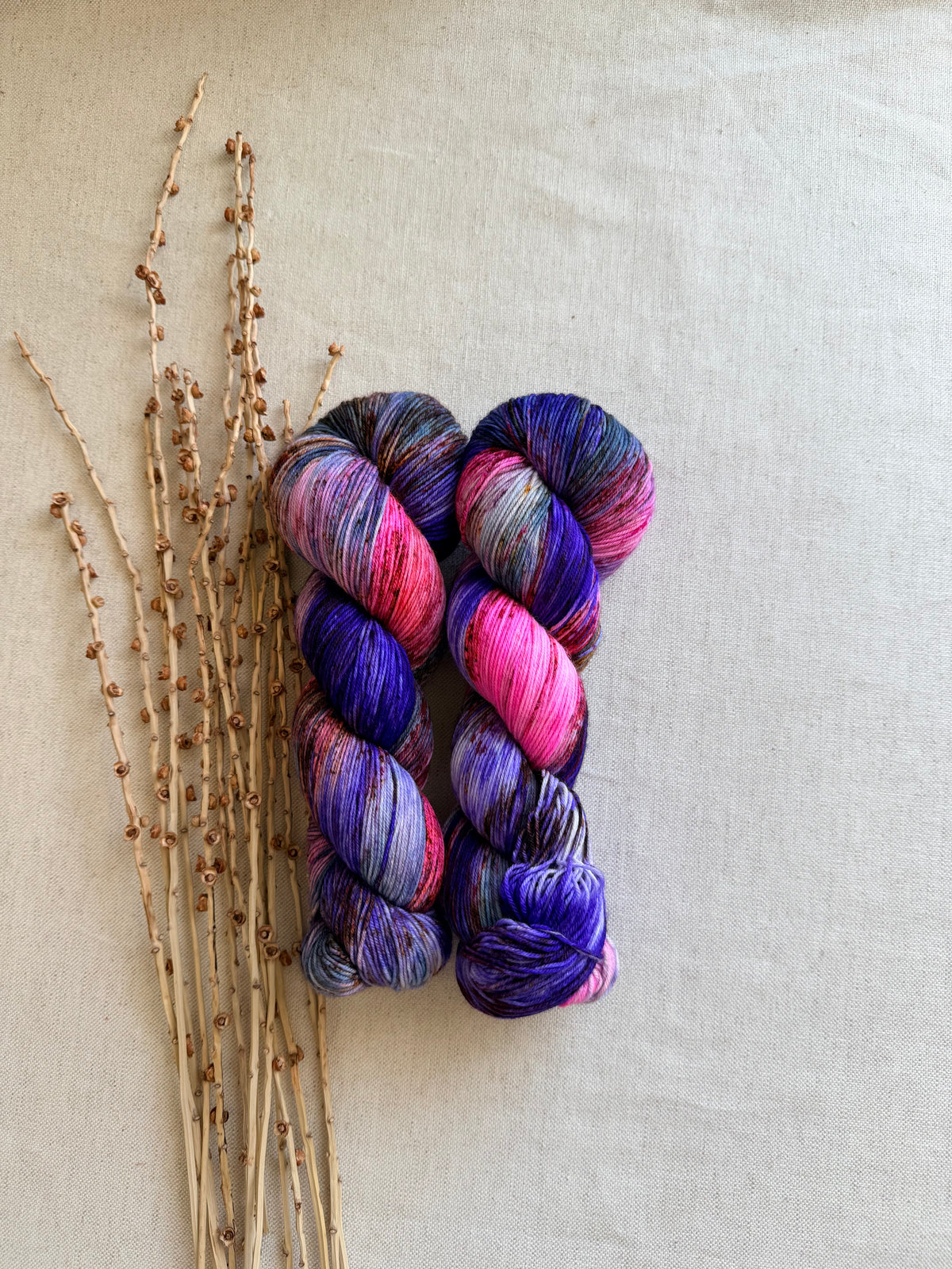 Zippity Zap - Sturdy Sock 100g