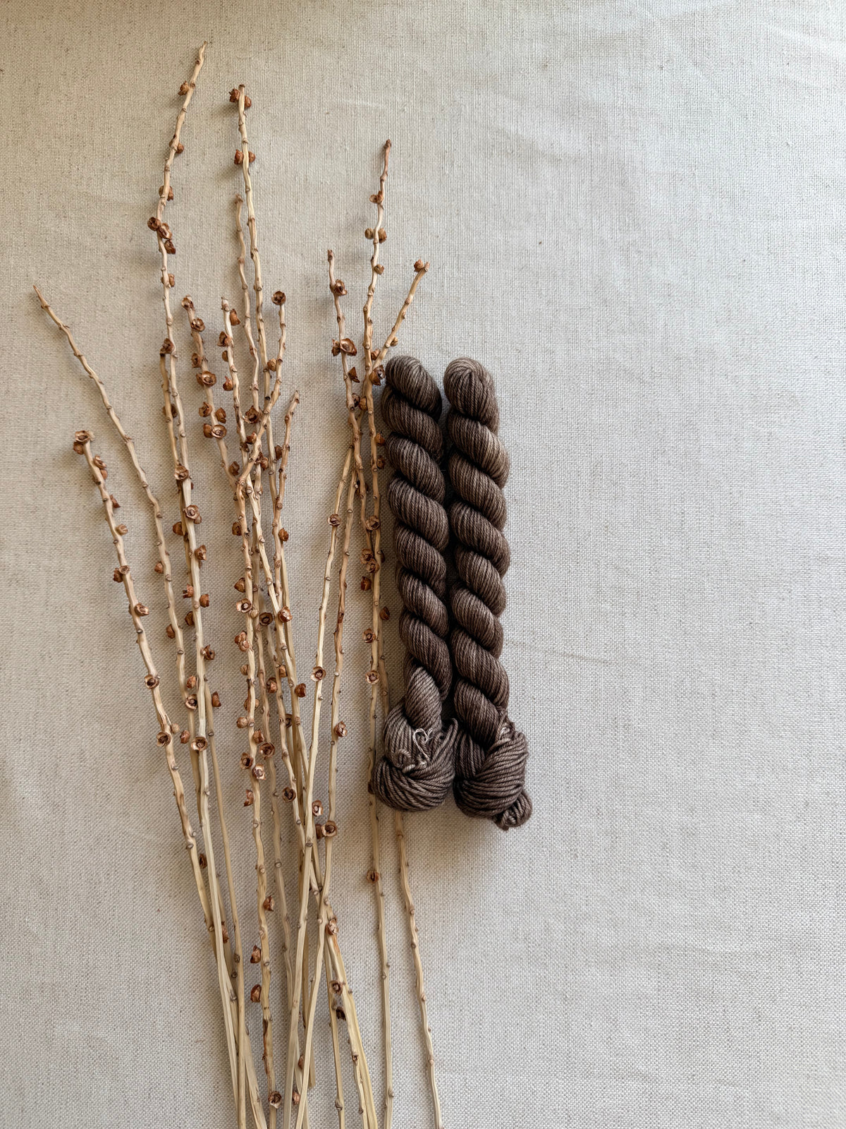 Pecan - Sturdy Sock 20g