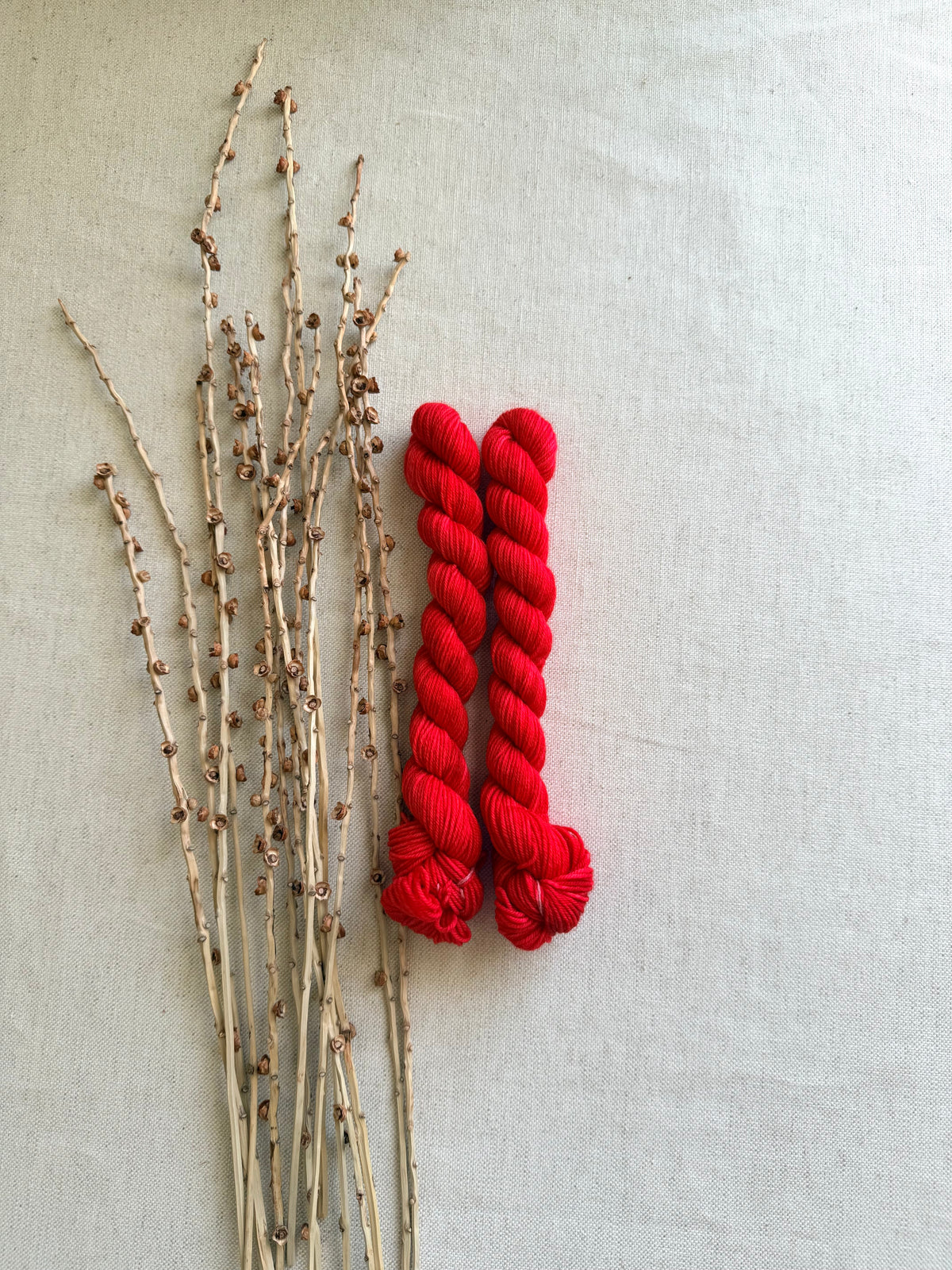 Lollipop - Sturdy Sock 20g