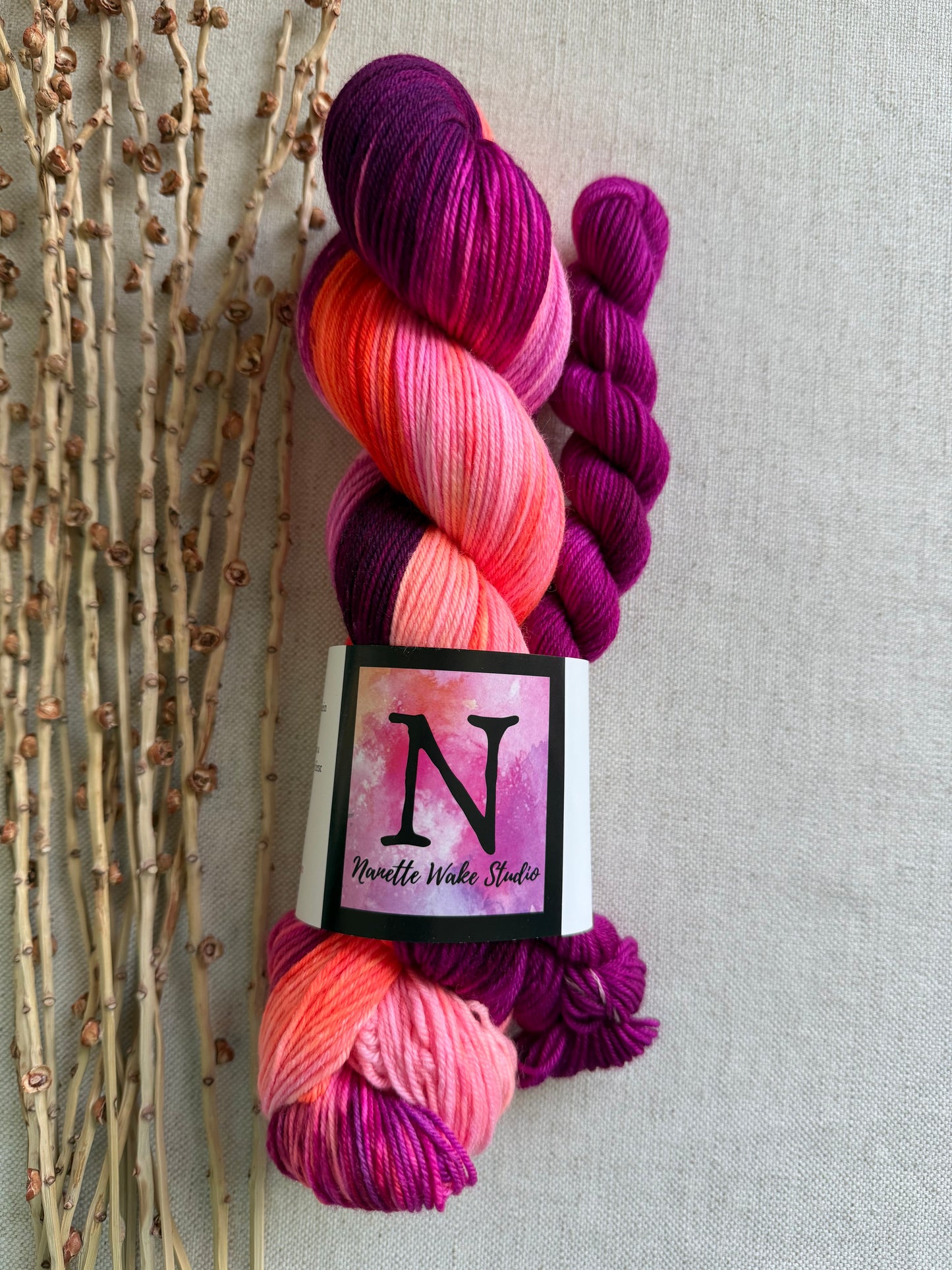 Ferris Wheel Sock Set