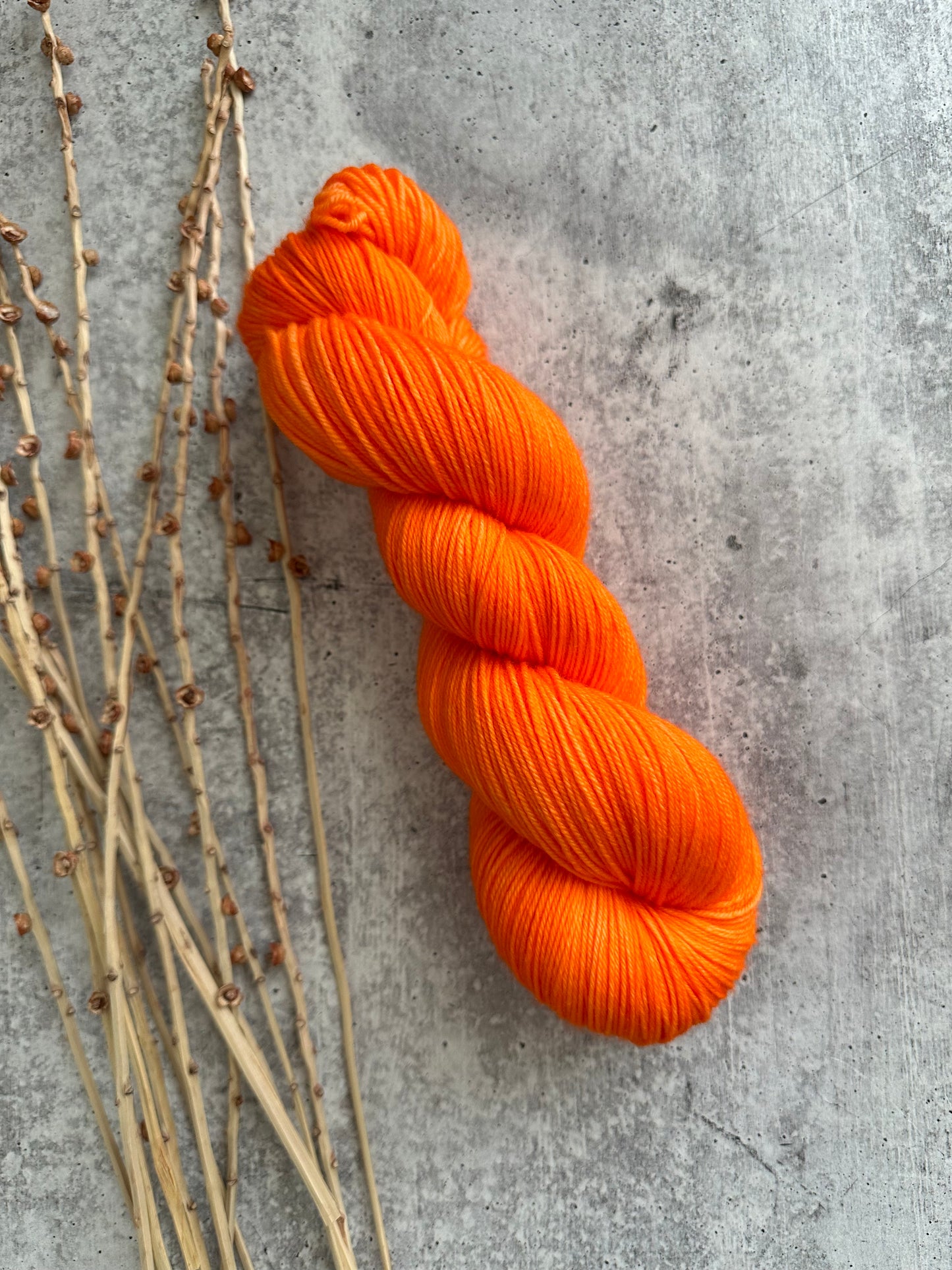 Corky SW Merino Nylon Yarn