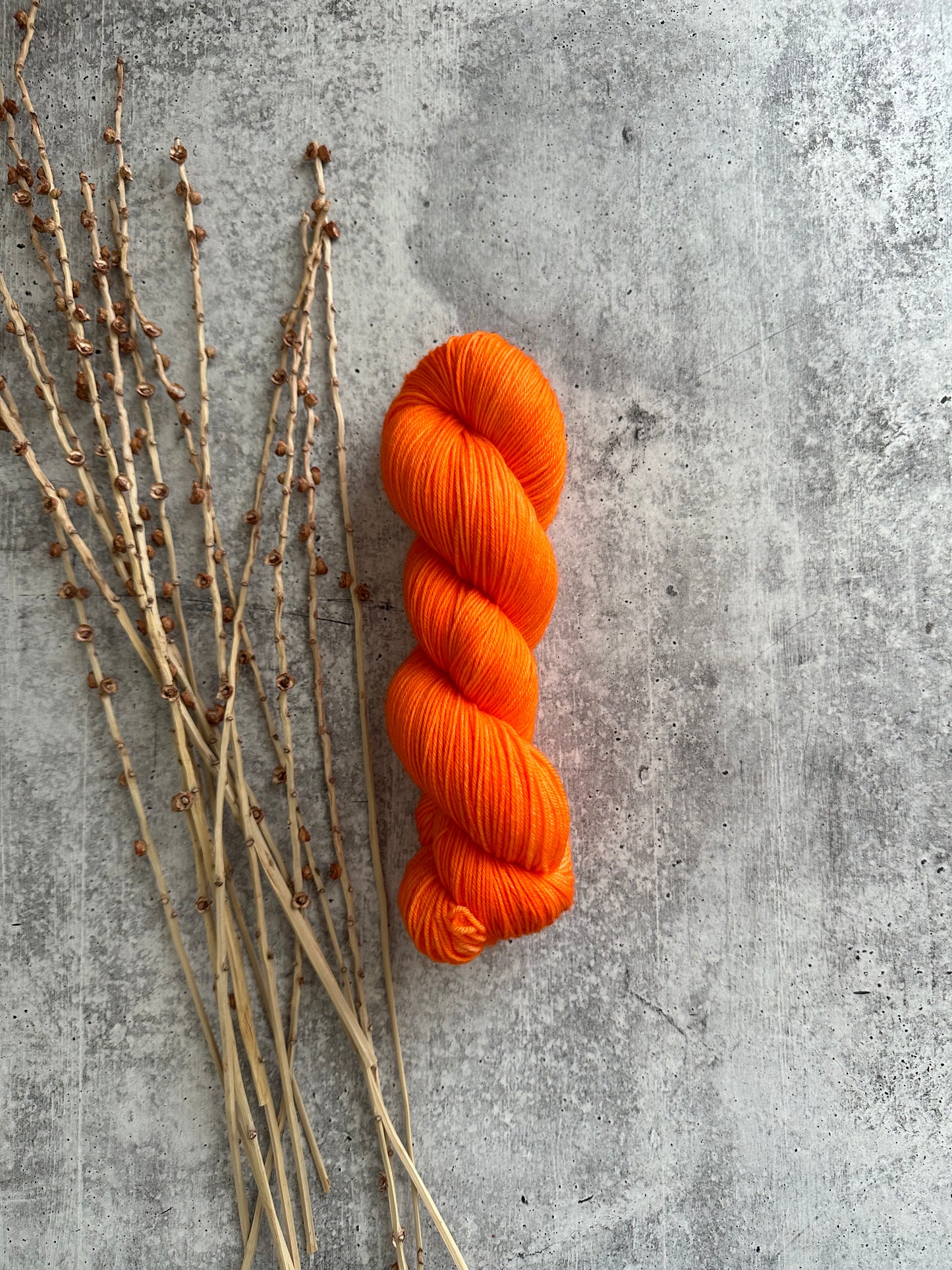 Corky SW Merino Nylon Yarn