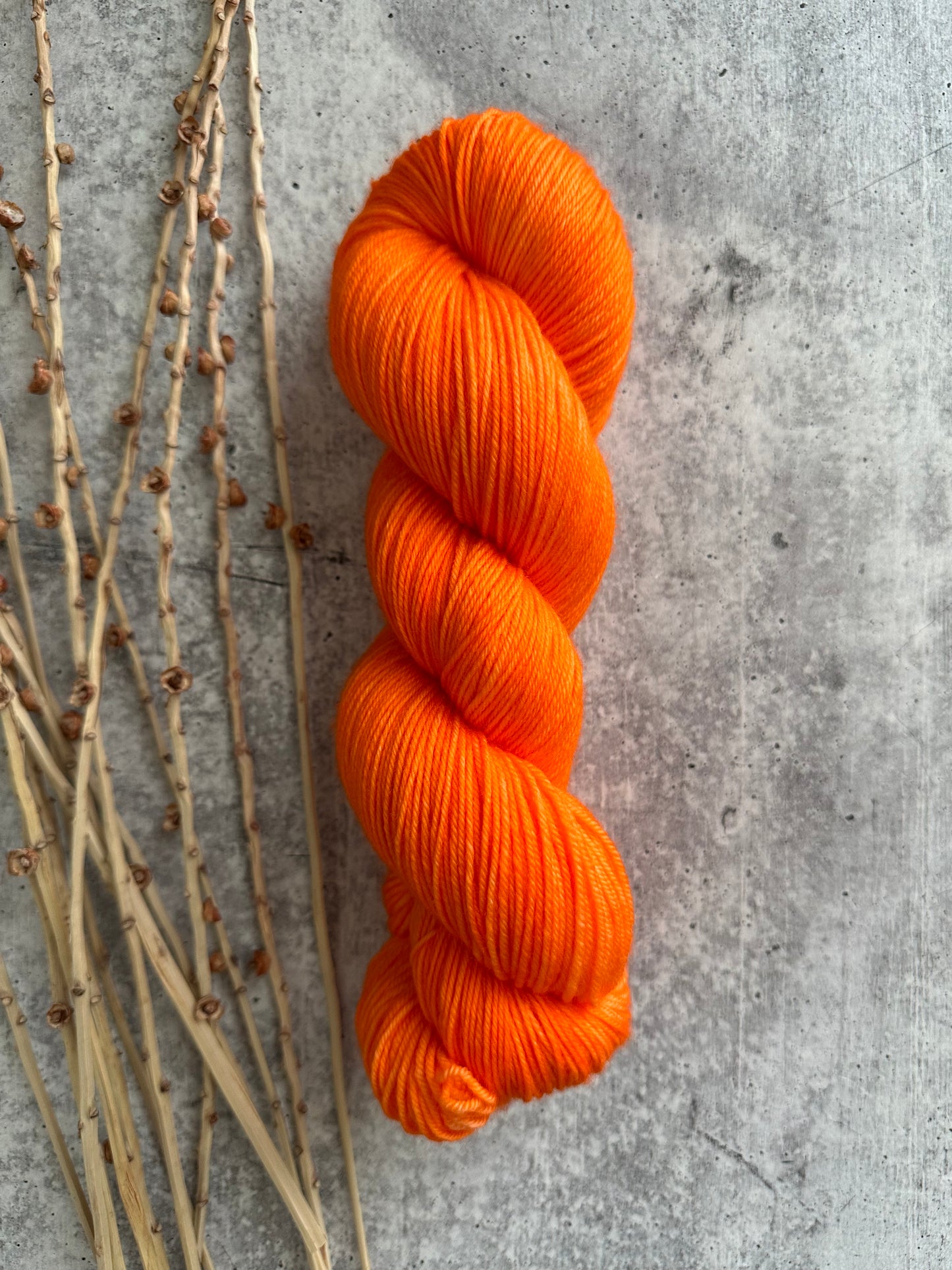 Corky SW Merino Nylon Yarn