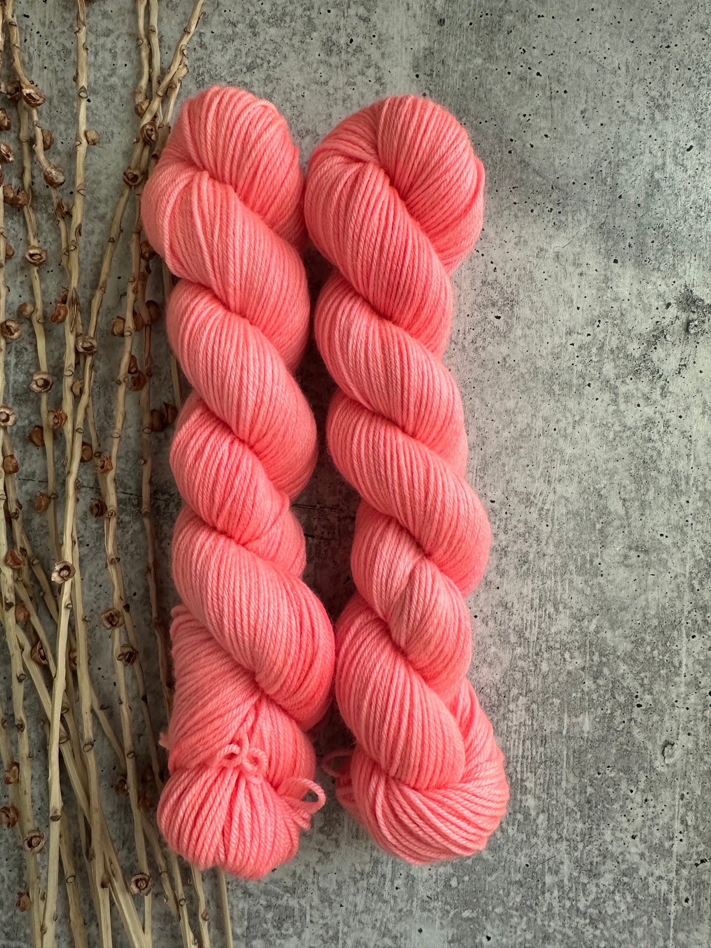 Salmon SW Merino Nylon 50g Skein