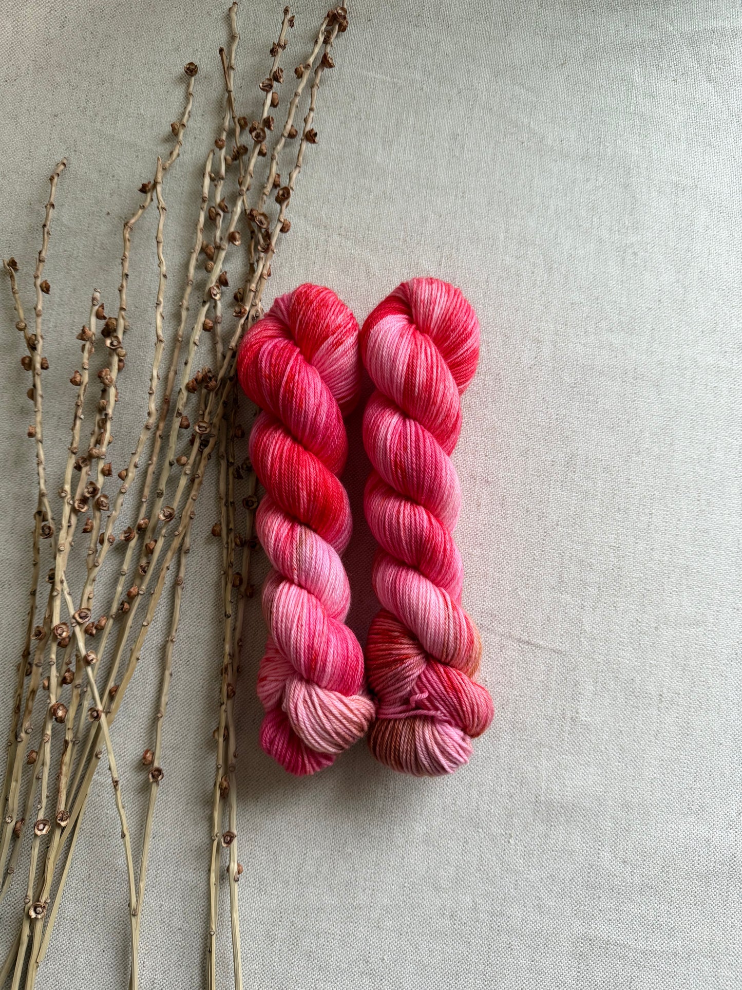 Strawberry Cheesecake SW Merino Nylon 50g Skein
