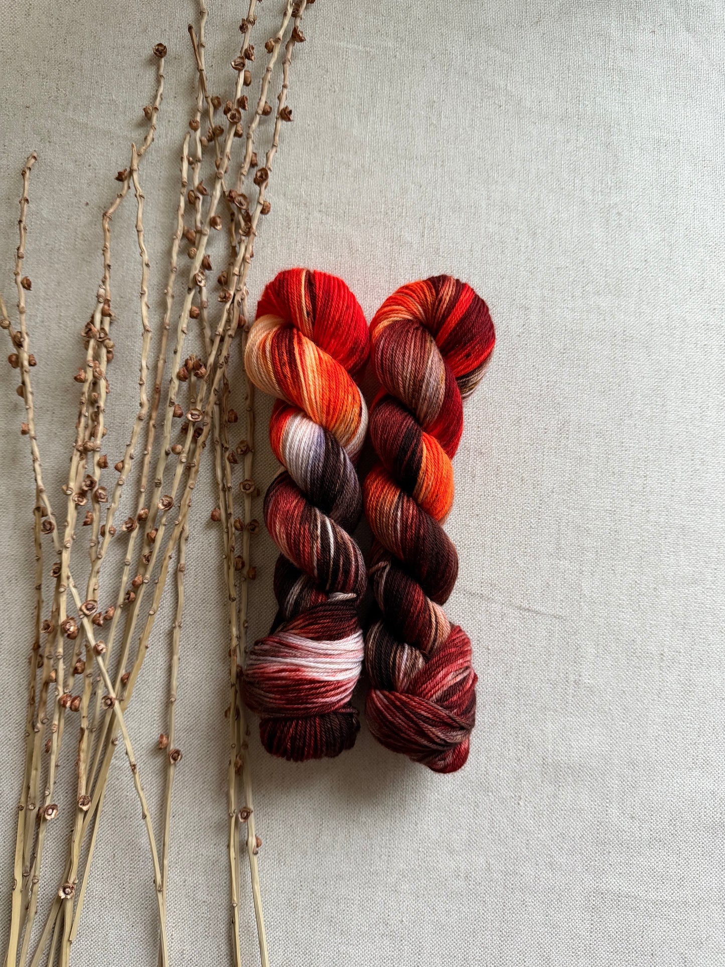 Turkey Feathers SW Merino Nylon 50g Skein