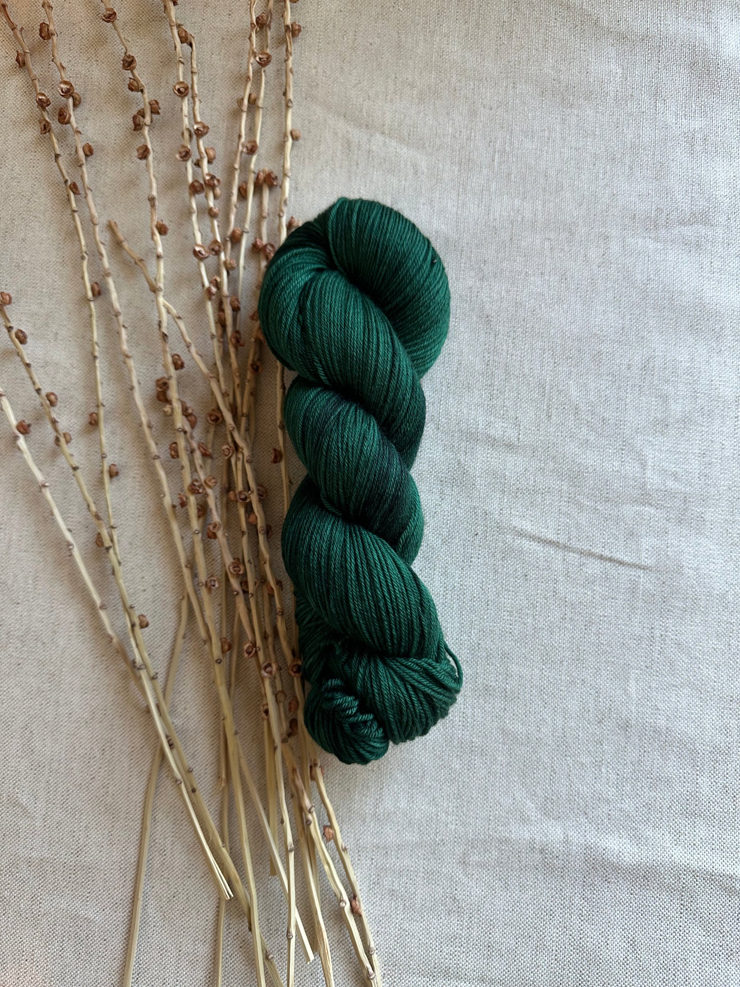 Forest 100g
