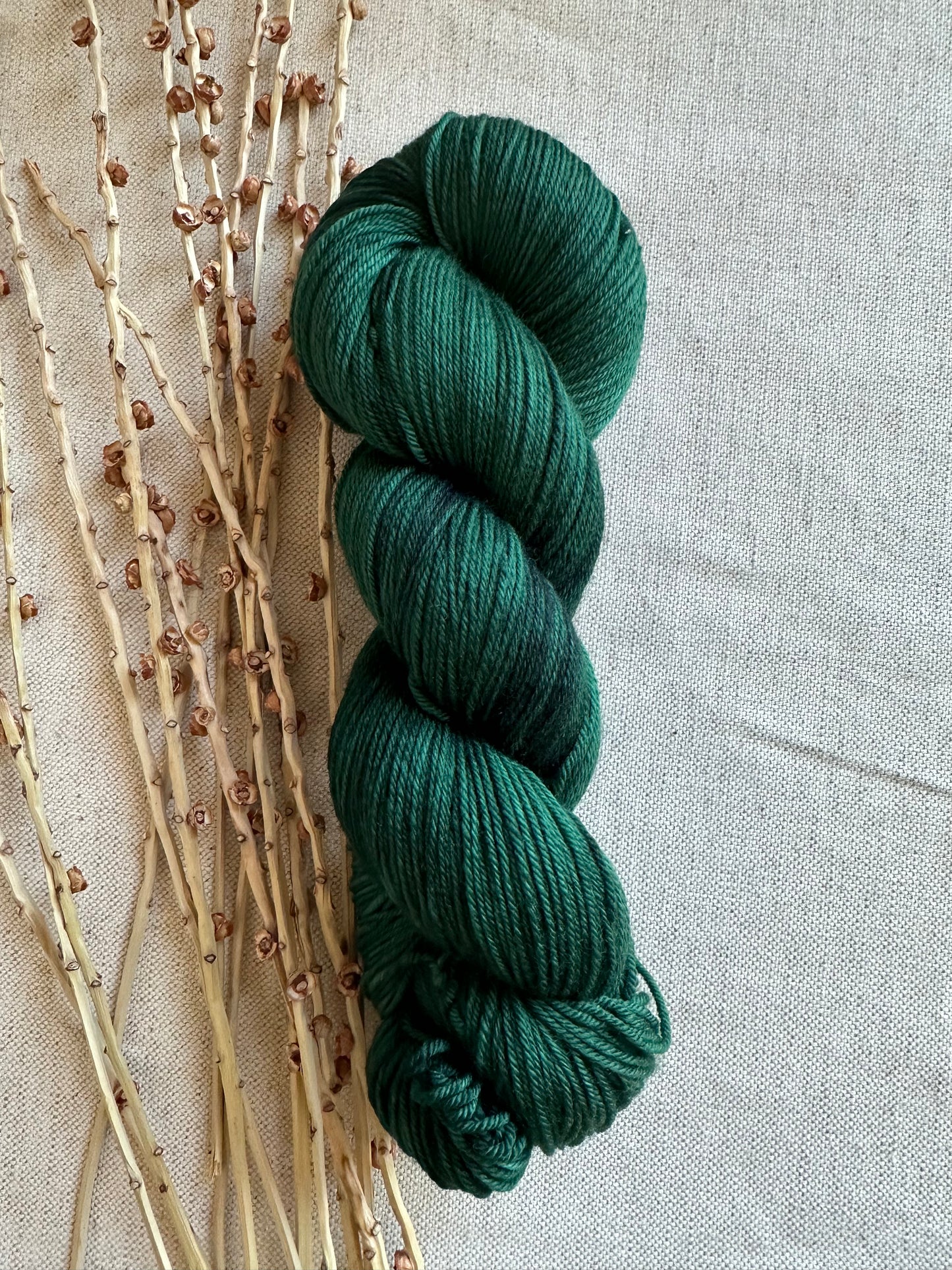 Forest 100g