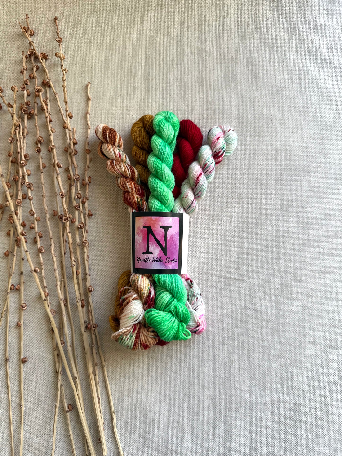 Peppermint Lane - SW Merino Nylon Mini Skein Set