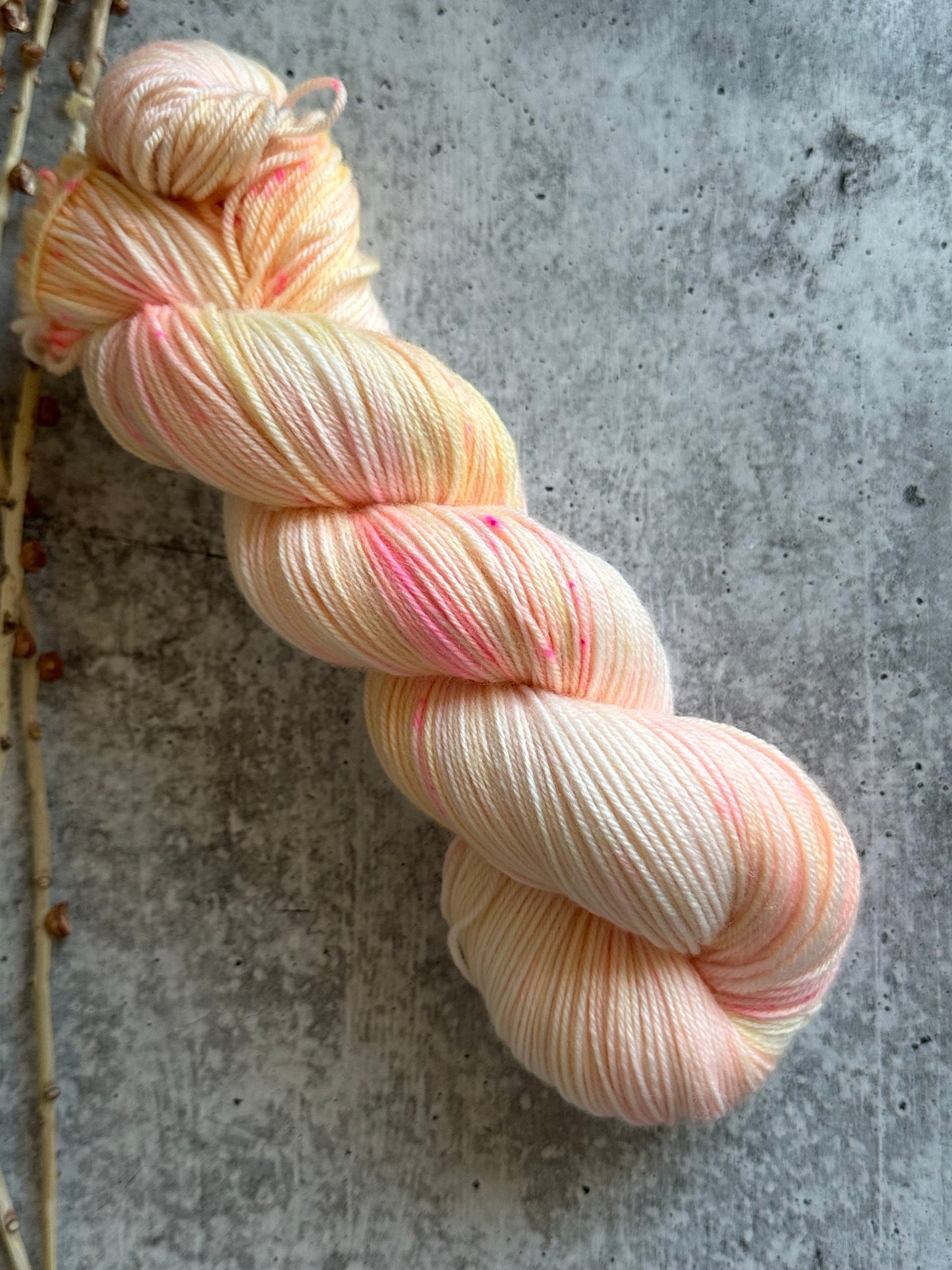 Frutti SW Merino Nylon Yarn