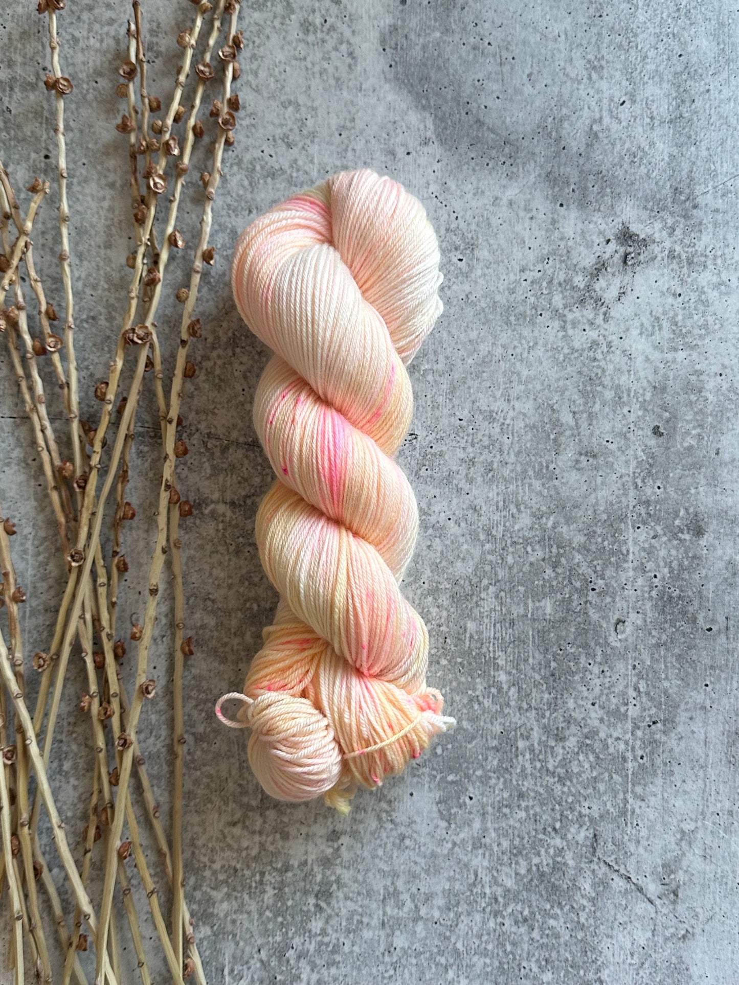 Frutti SW Merino Nylon Yarn