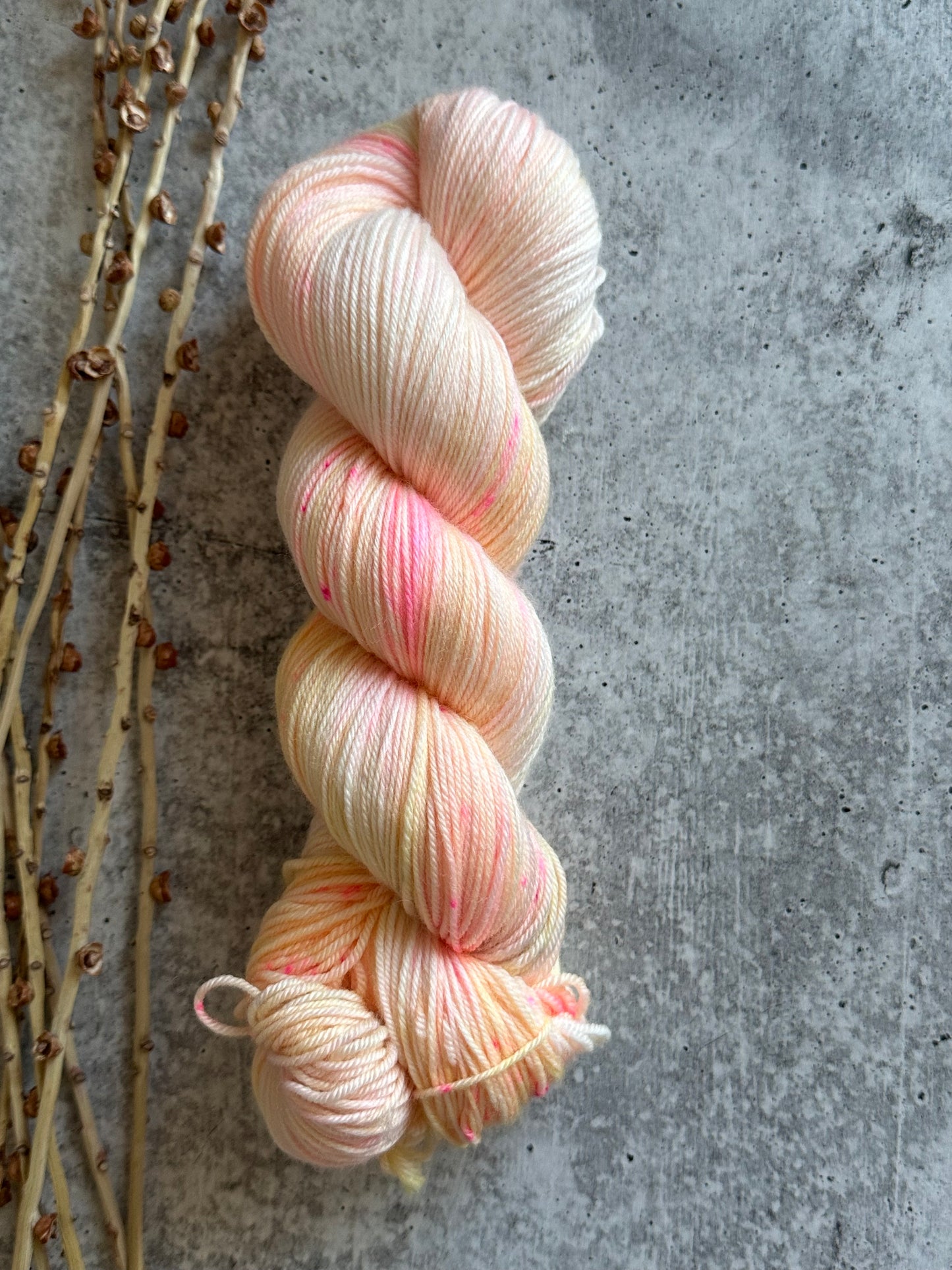 Frutti SW Merino Nylon Yarn