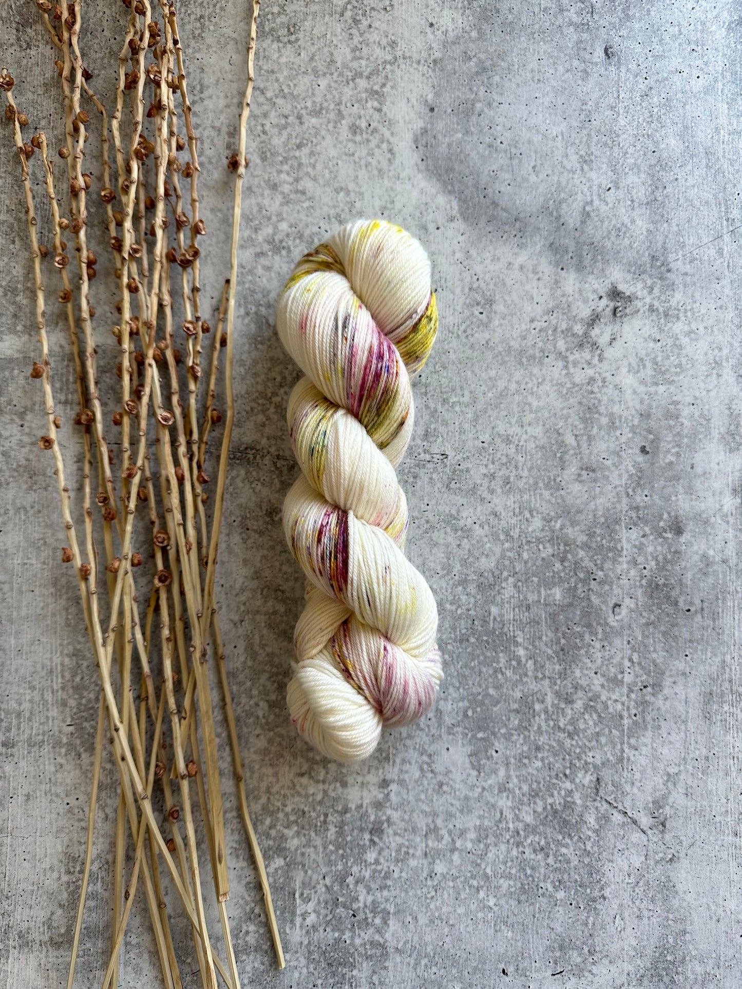 Magnolia SW Merino Nylon 100g Skein