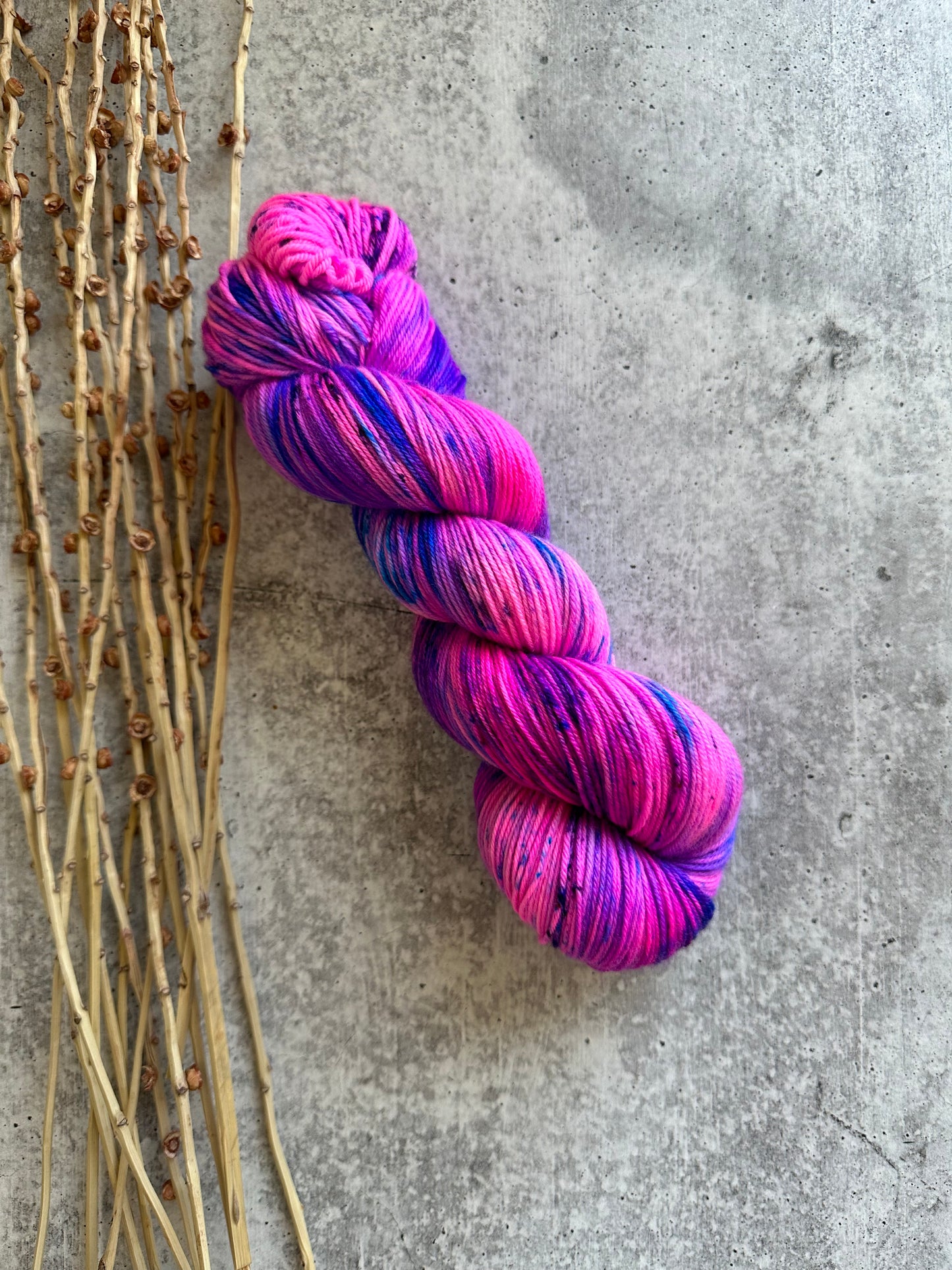Wild Child SW Merino Nylon 100g Skein