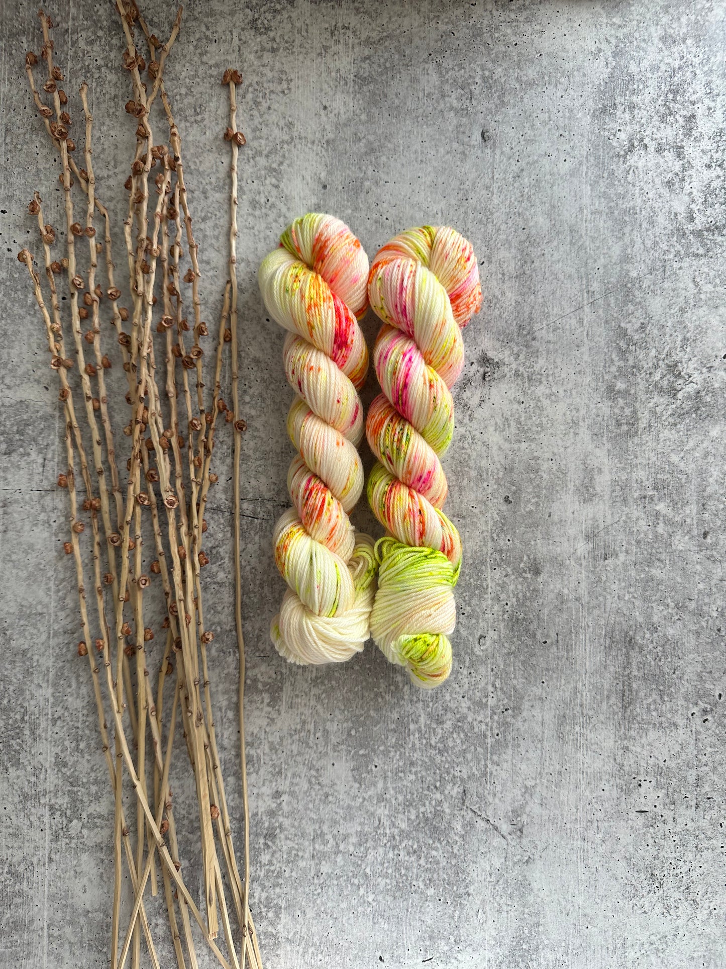 Flamingo Road SW Merino Nylon 50g Skein