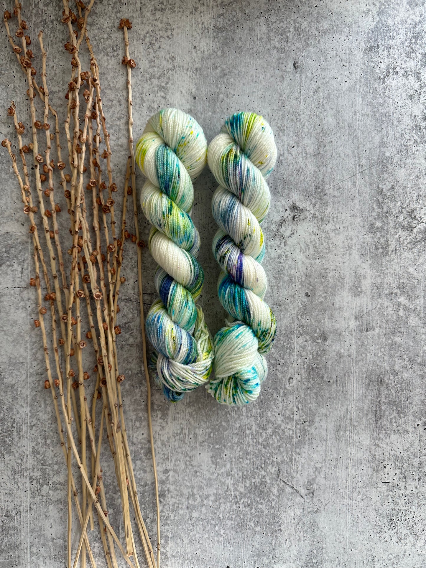 Frog Legs SW Merino Nylon 50g Skein