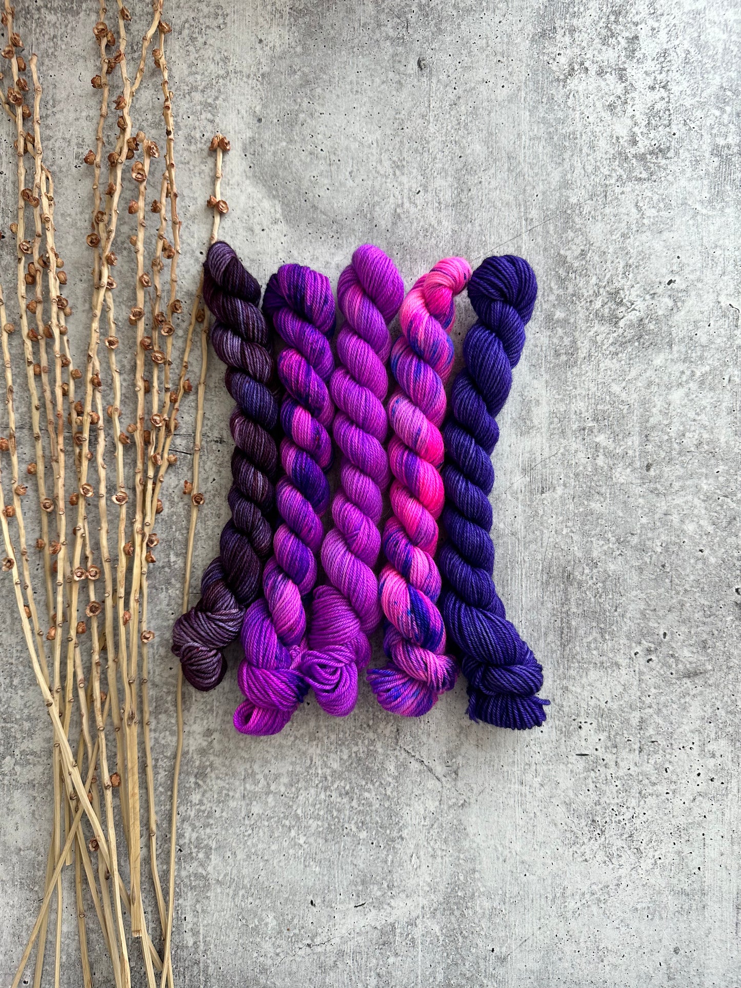 Pop Goes The Purple II - SW Merino Nylon Mini Skein Set
