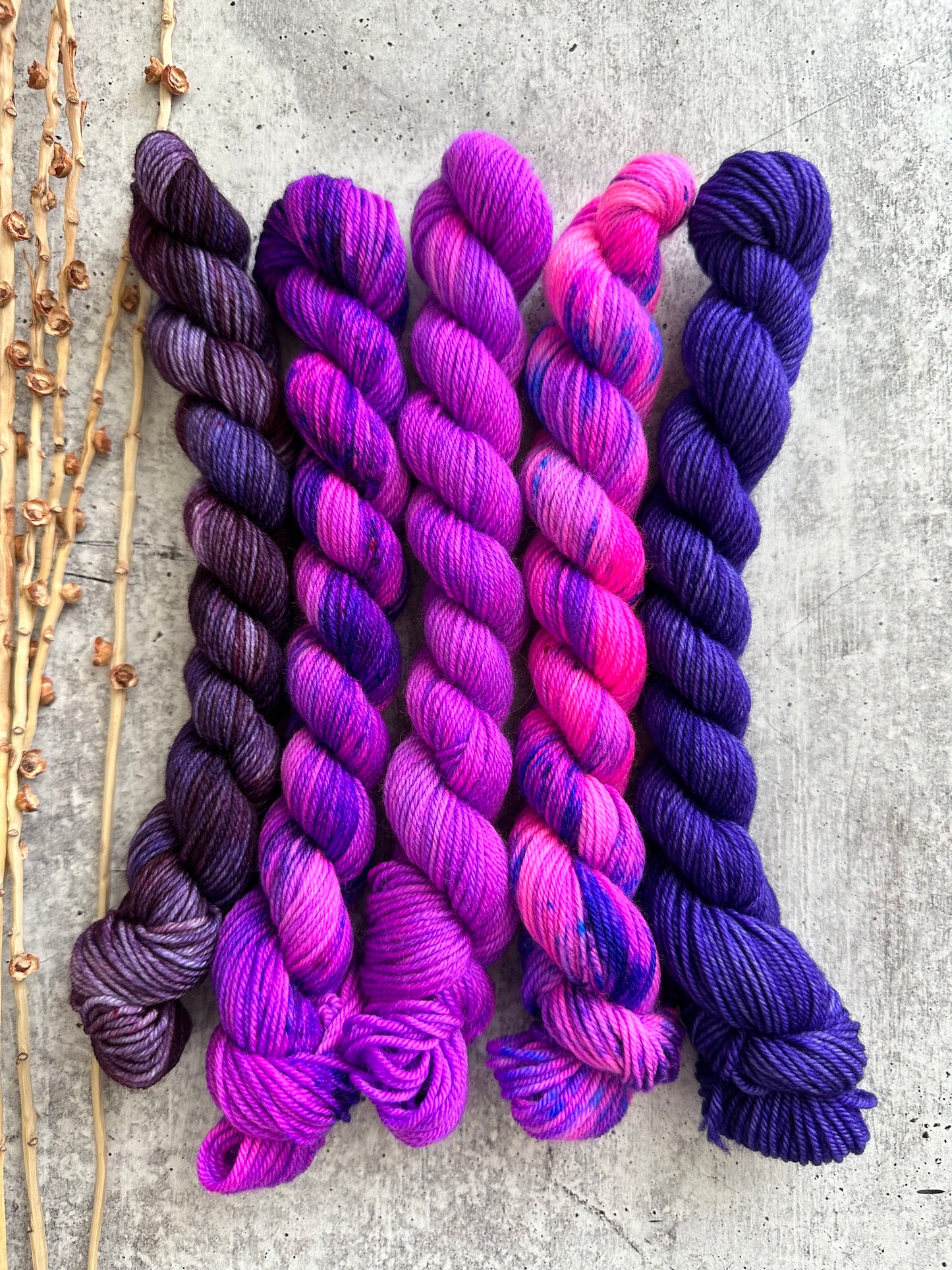 Pop Goes The Purple II - SW Merino Nylon Mini Skein Set