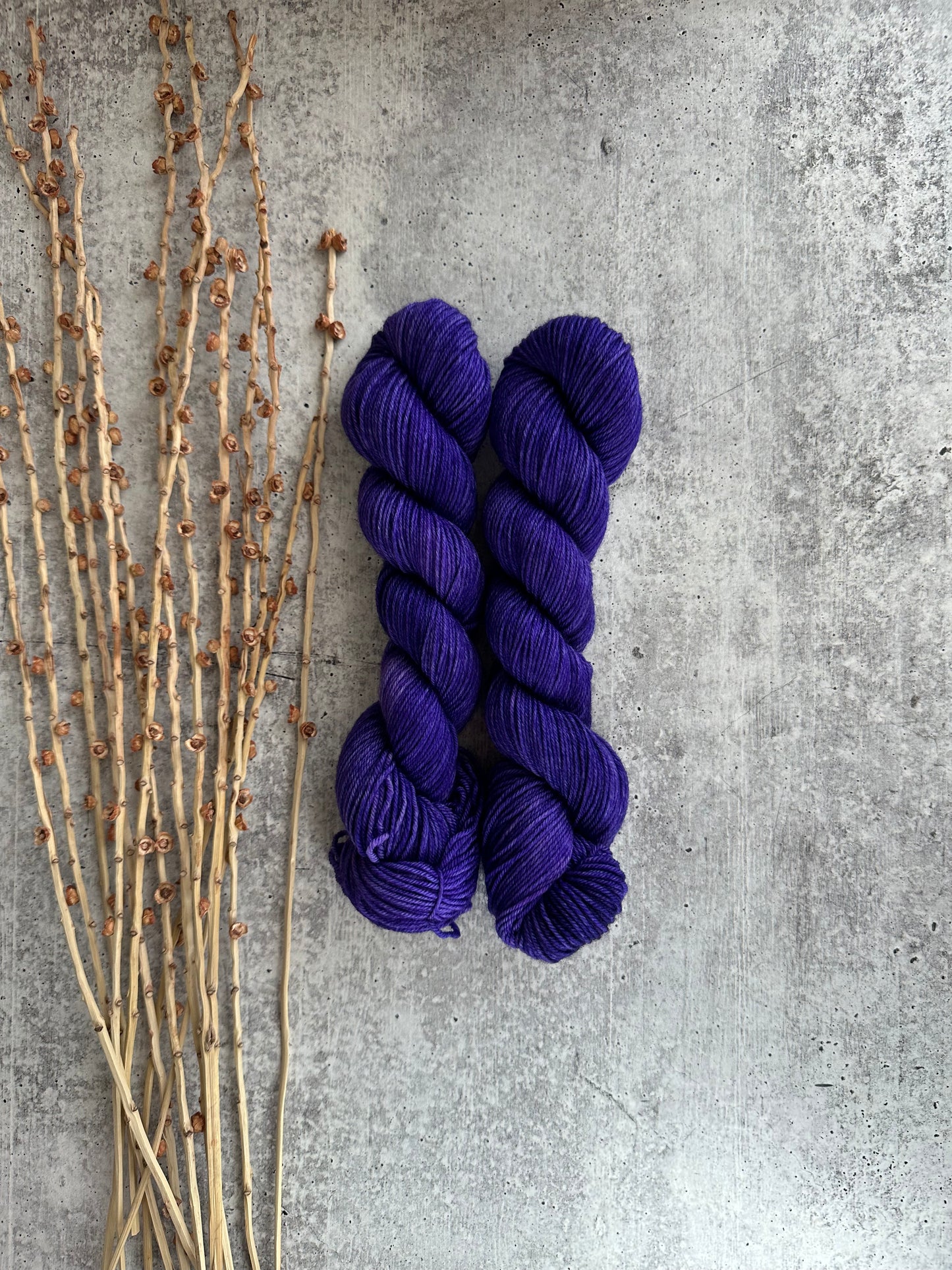 Grapes SW Merino Nylon 50g Skein