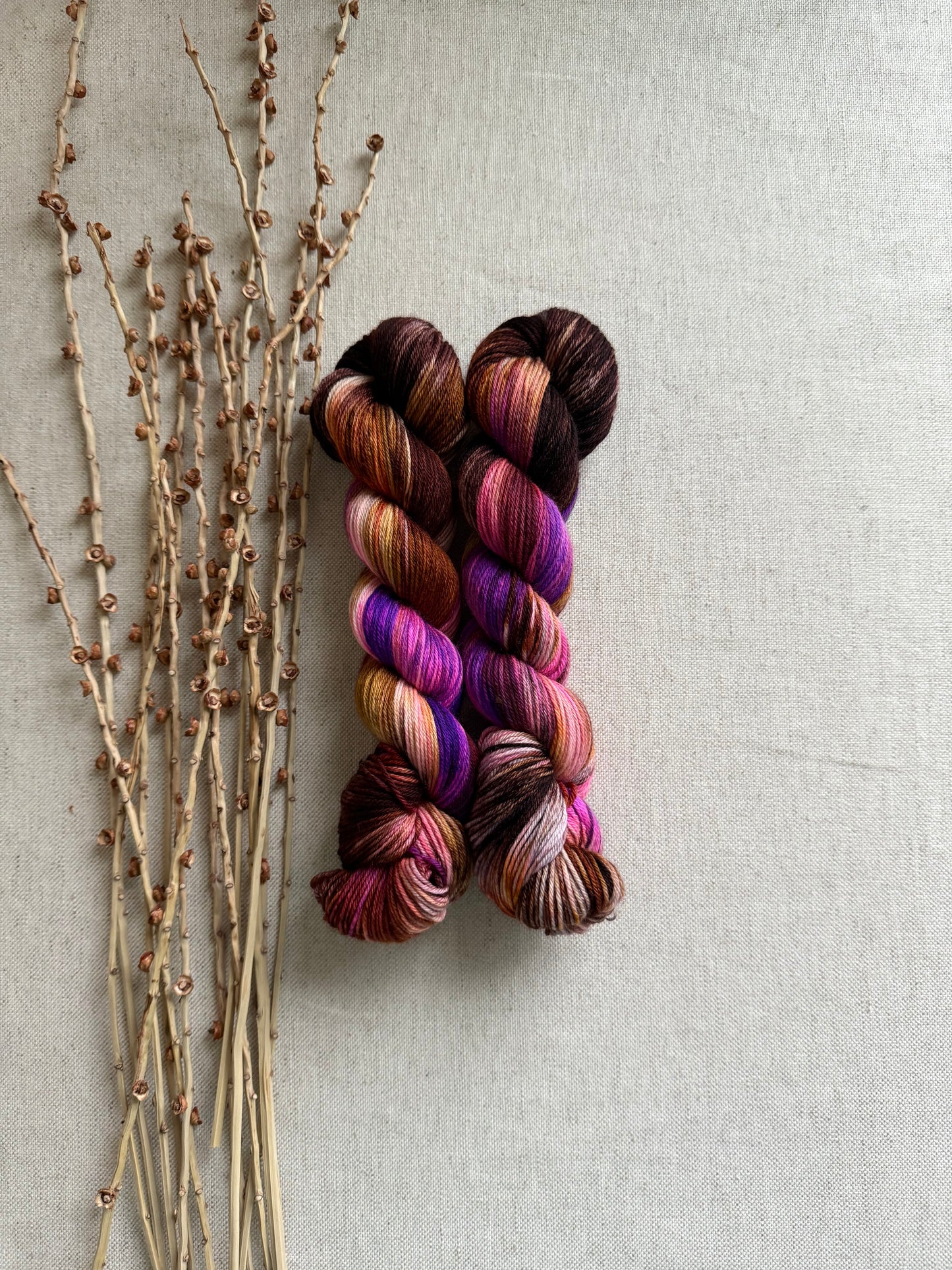 Saucey Sally SW Merino Nylon 50g Skein