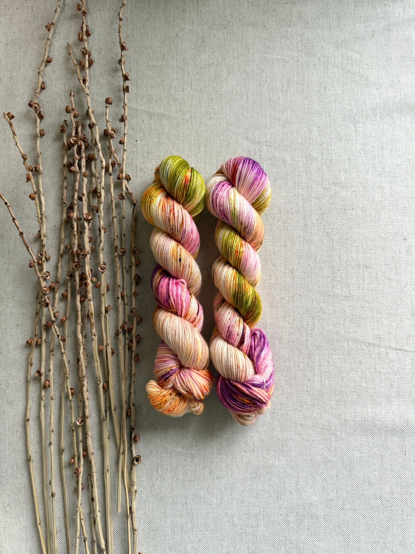 The Lollipop Guild SW Merino Nylon 50g Skein