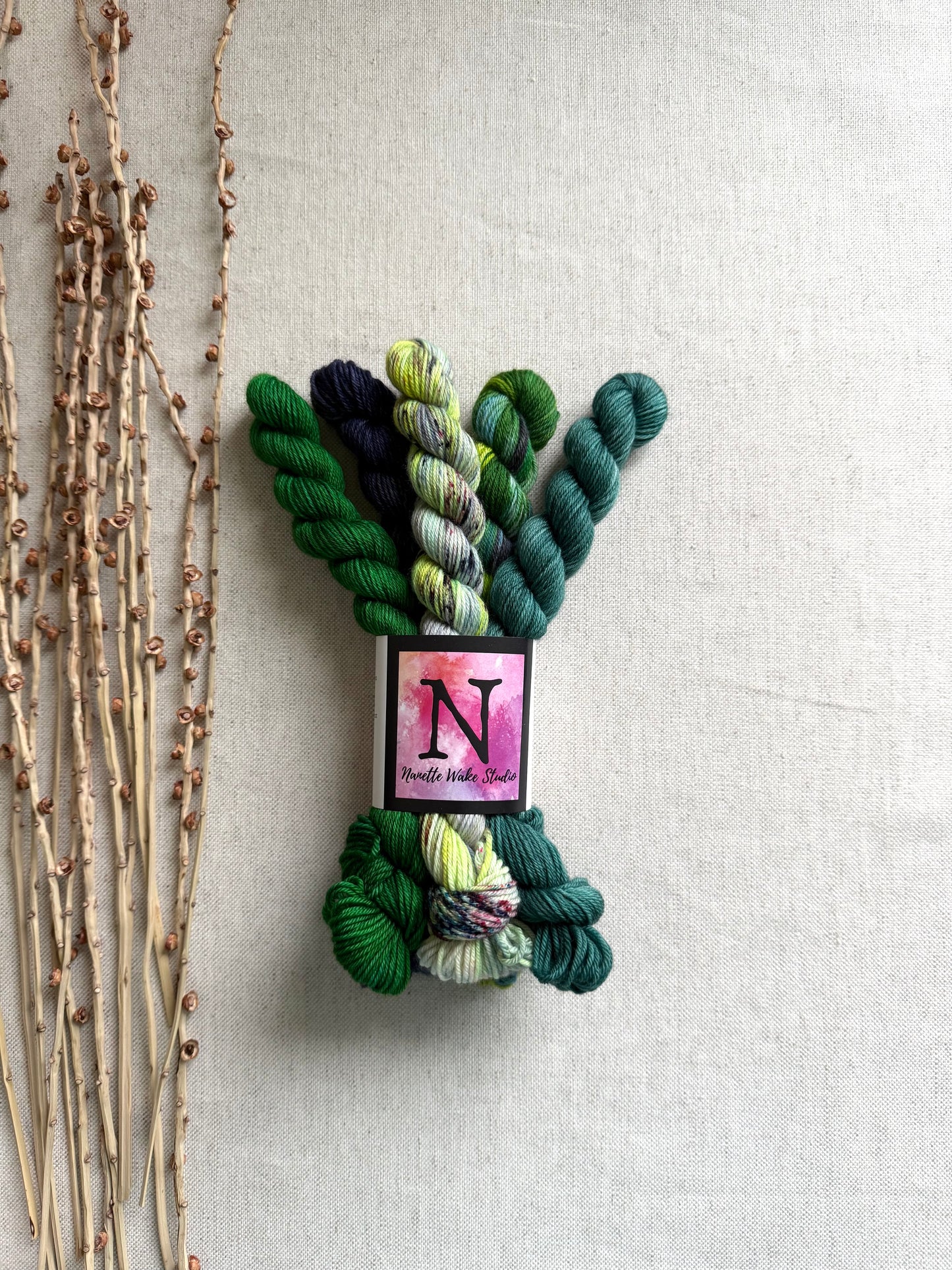 Crazy Caterpillar - SW Merino Nylon Mini Skein Set