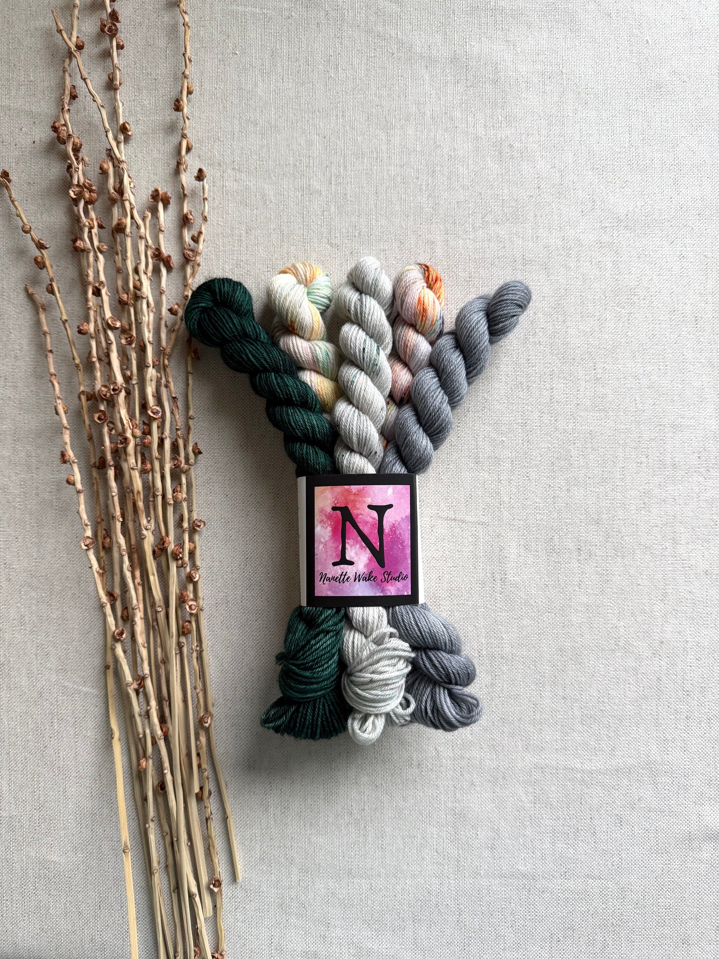 The Evergreen State - SW Merino Nylon Mini Skein Set