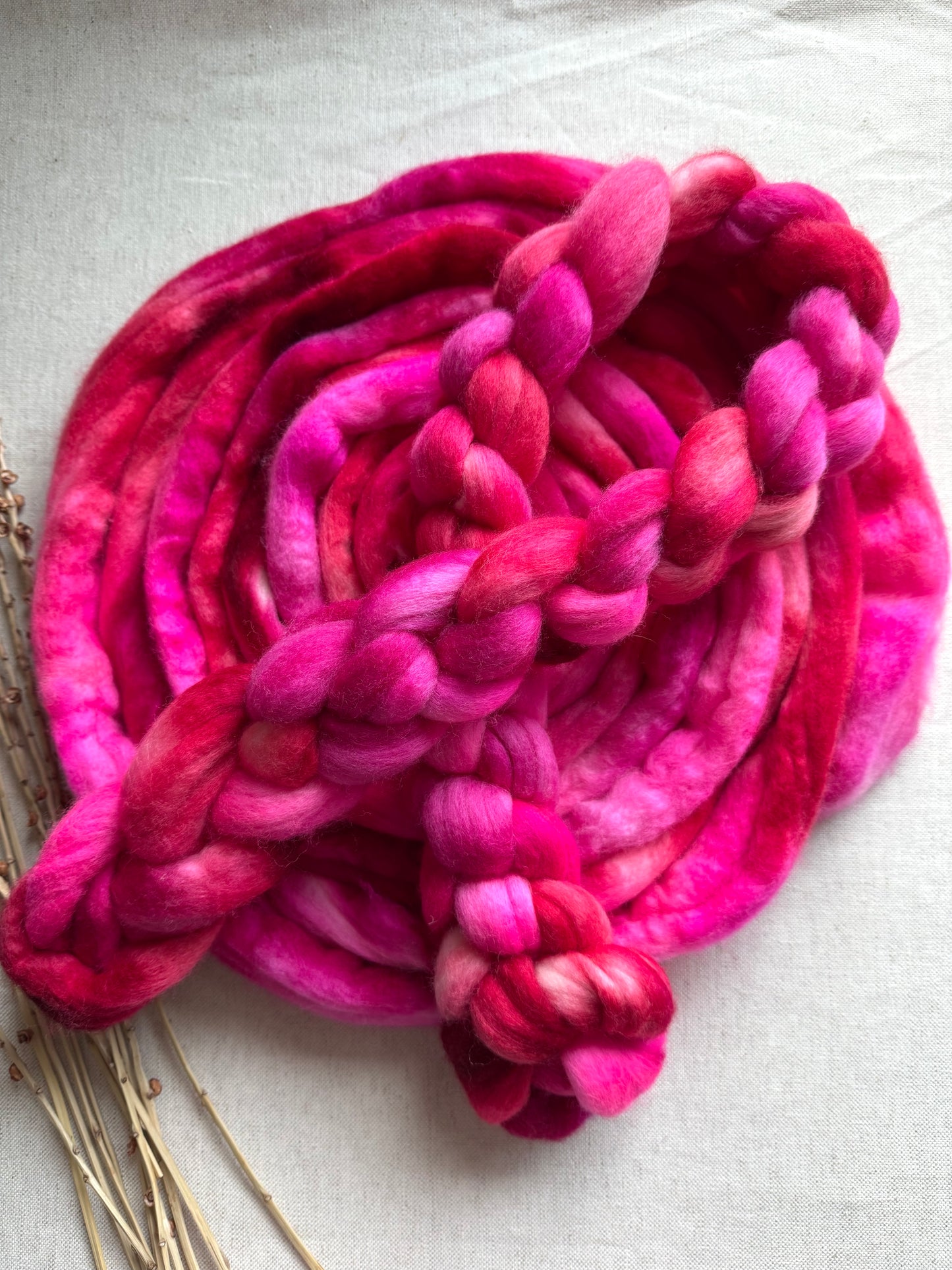 Christmas Sweater Polwarth Top Spinning Fiber