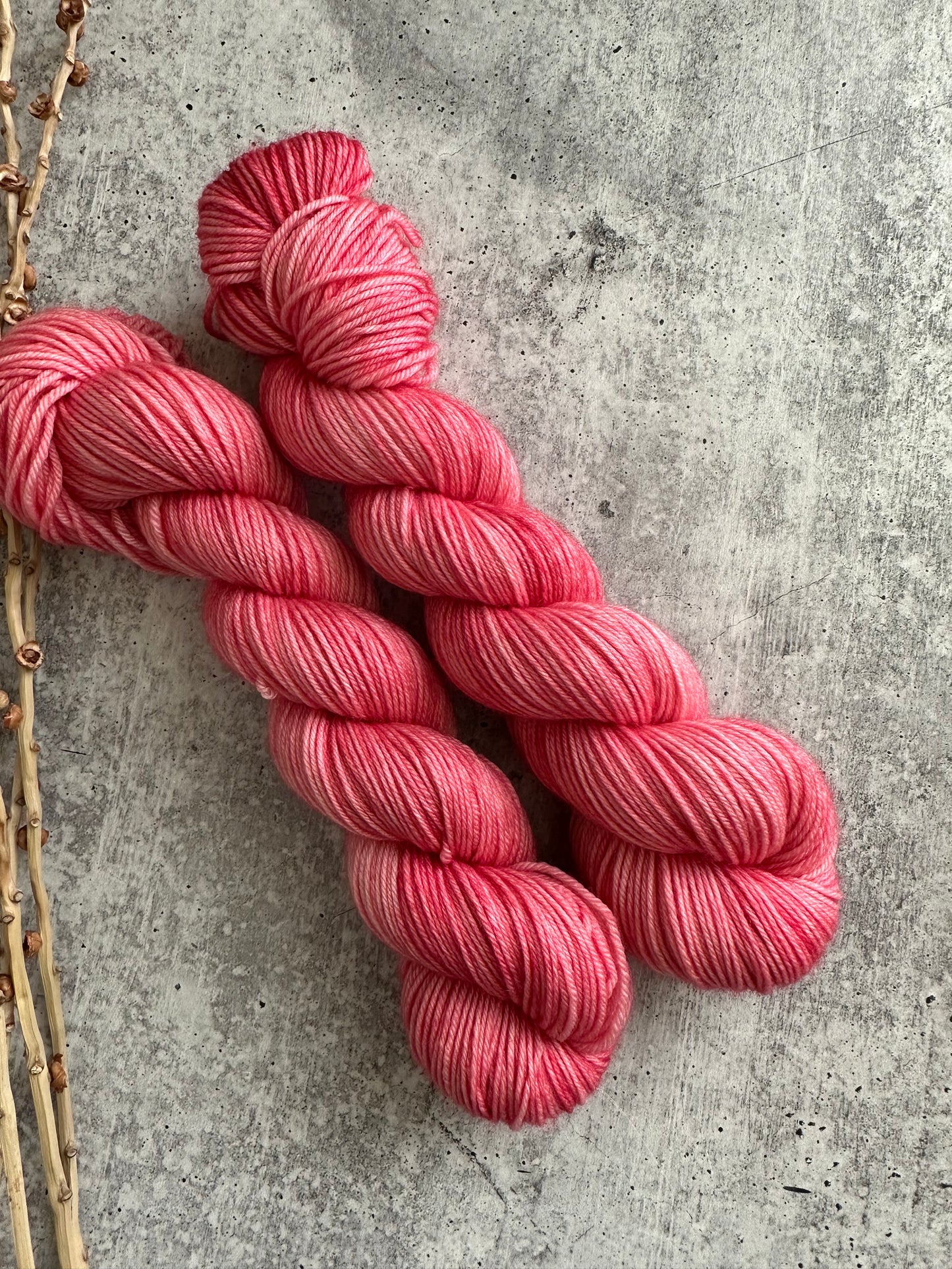 Skinny Watermelon SW Merino Nylon 50g Skein