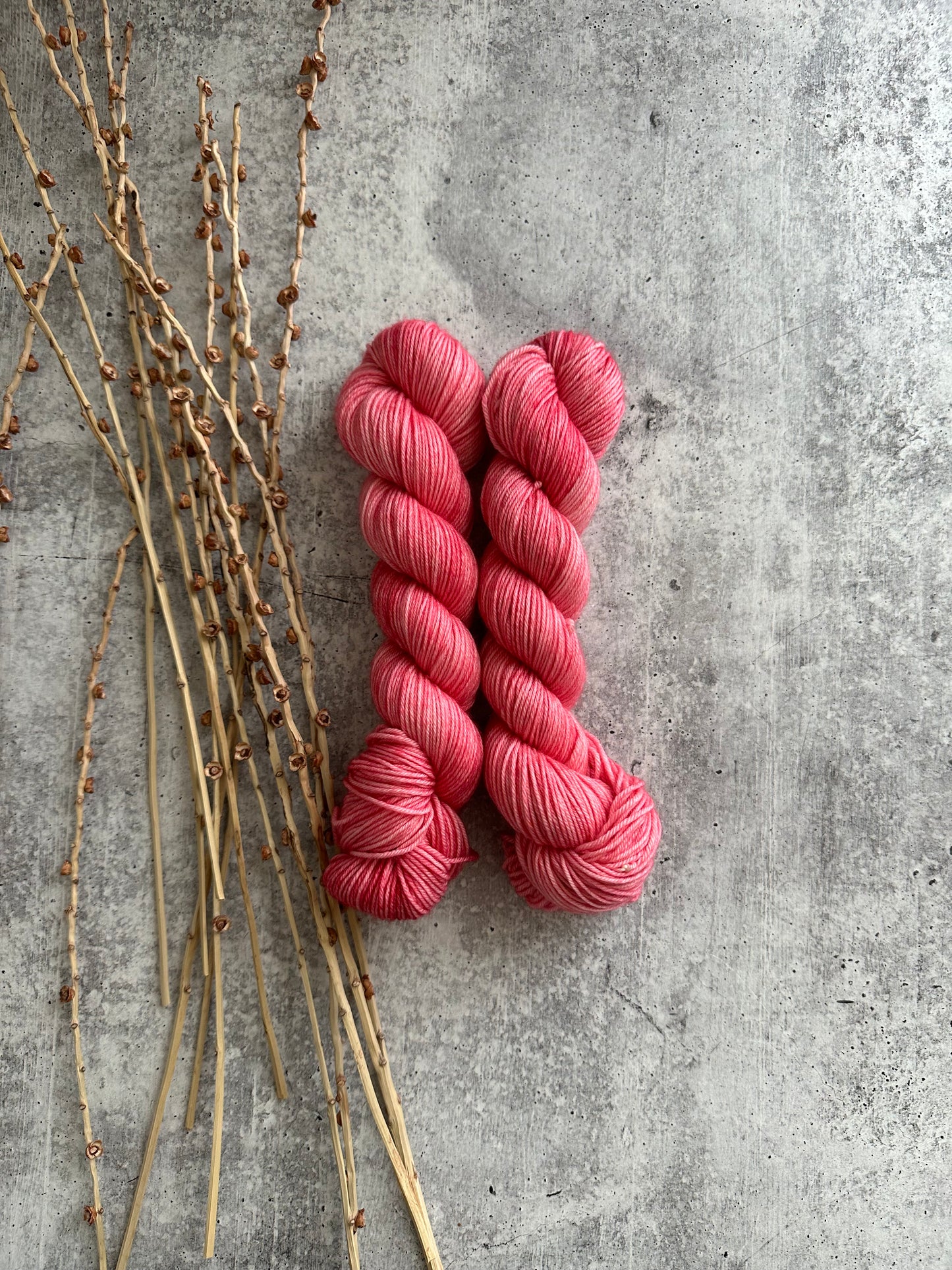 Skinny Watermelon SW Merino Nylon 50g Skein
