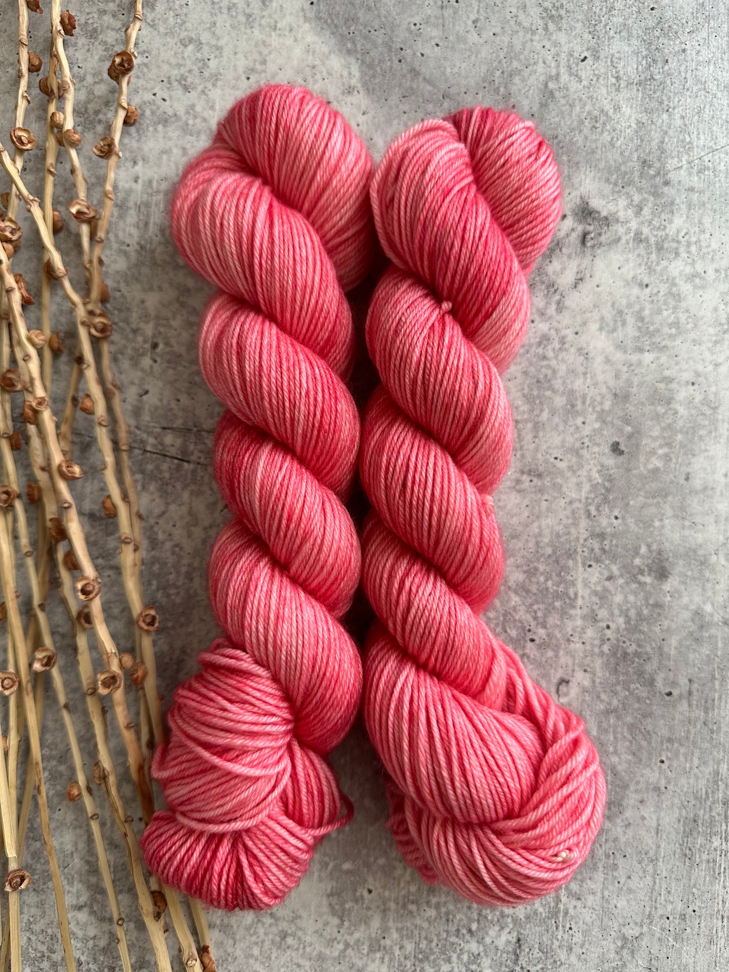 Skinny Watermelon SW Merino Nylon 50g Skein