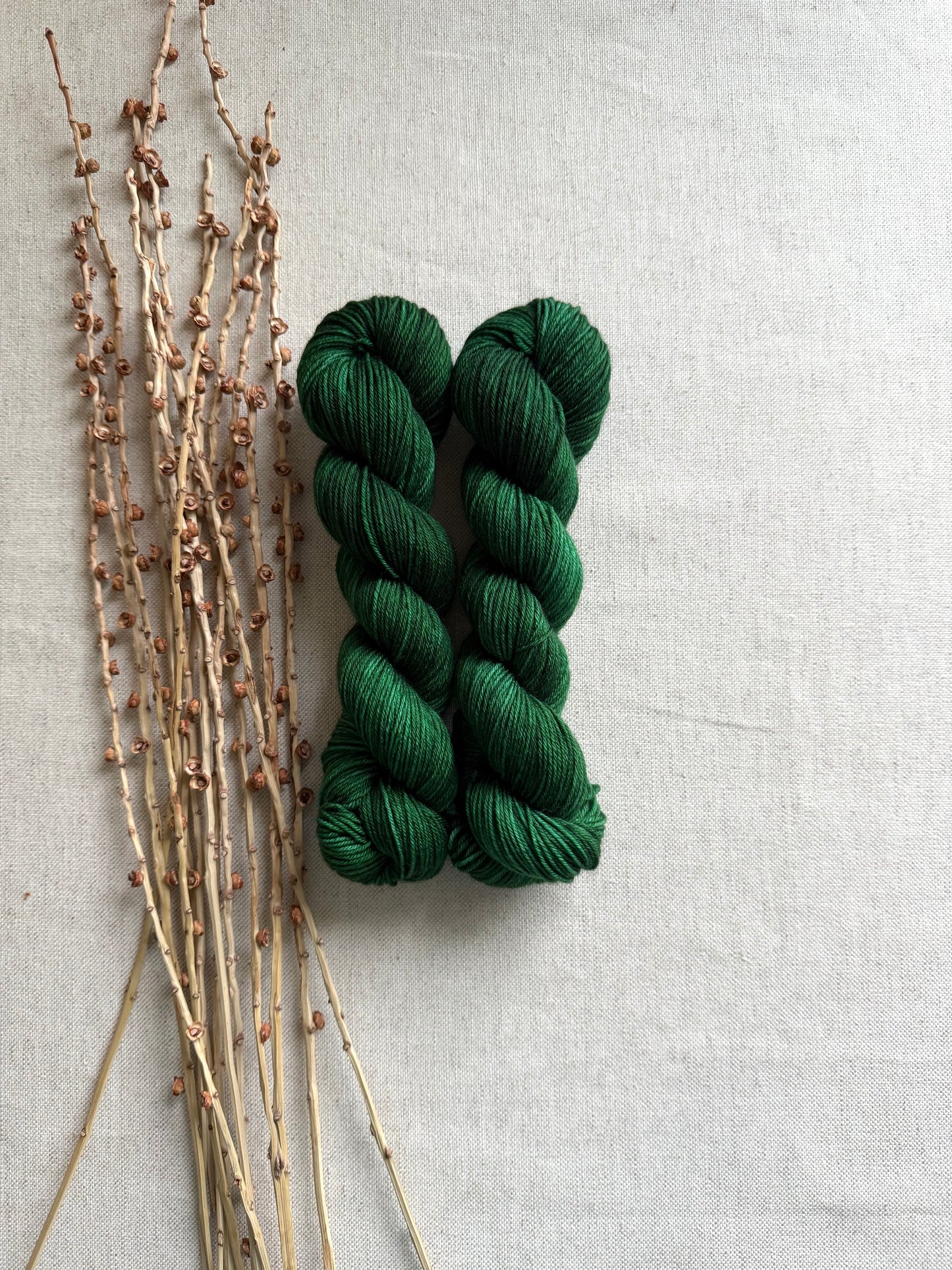 Blackened Juniper SW Merino Nylon 50g Skein