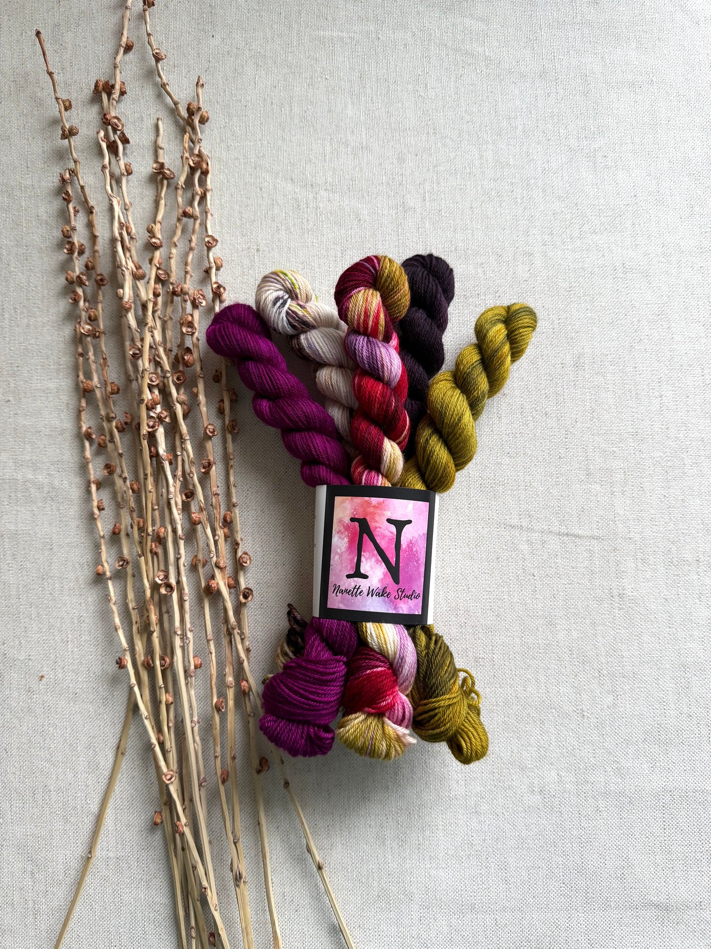 Velveteen Chair - SW Merino Nylon Mini Skein Set