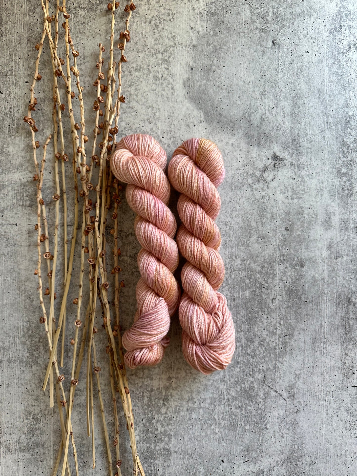 Lobster Bisque SW Merino Nylon 50g Skein
