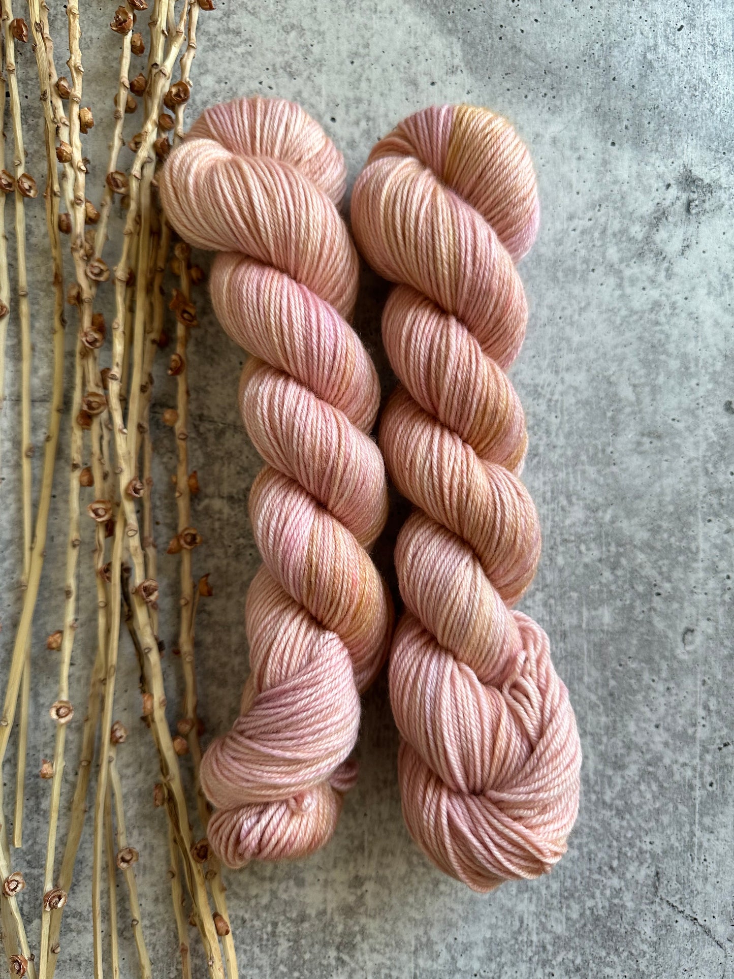 Lobster Bisque SW Merino Nylon 50g Skein