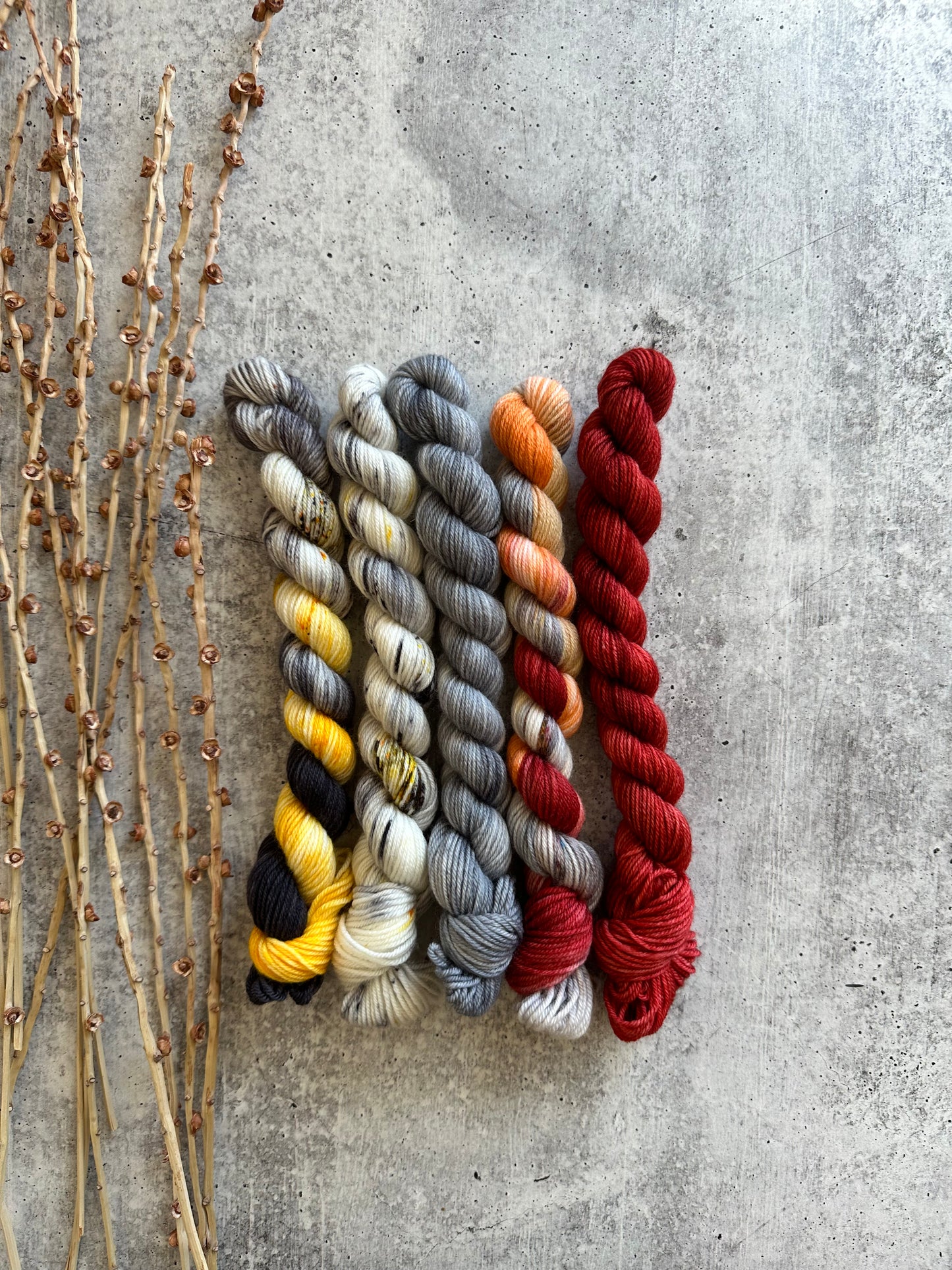 Bonfire - SW Merino Nylon Mini Skein Set