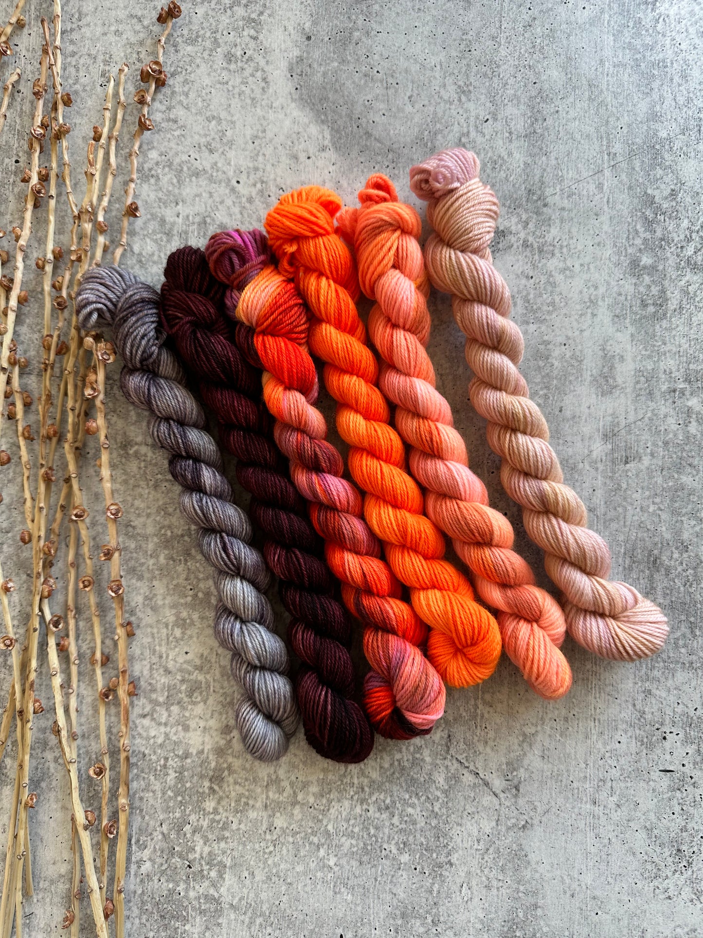 Poppy Field - SW Merino Nylon Mini Skein Set