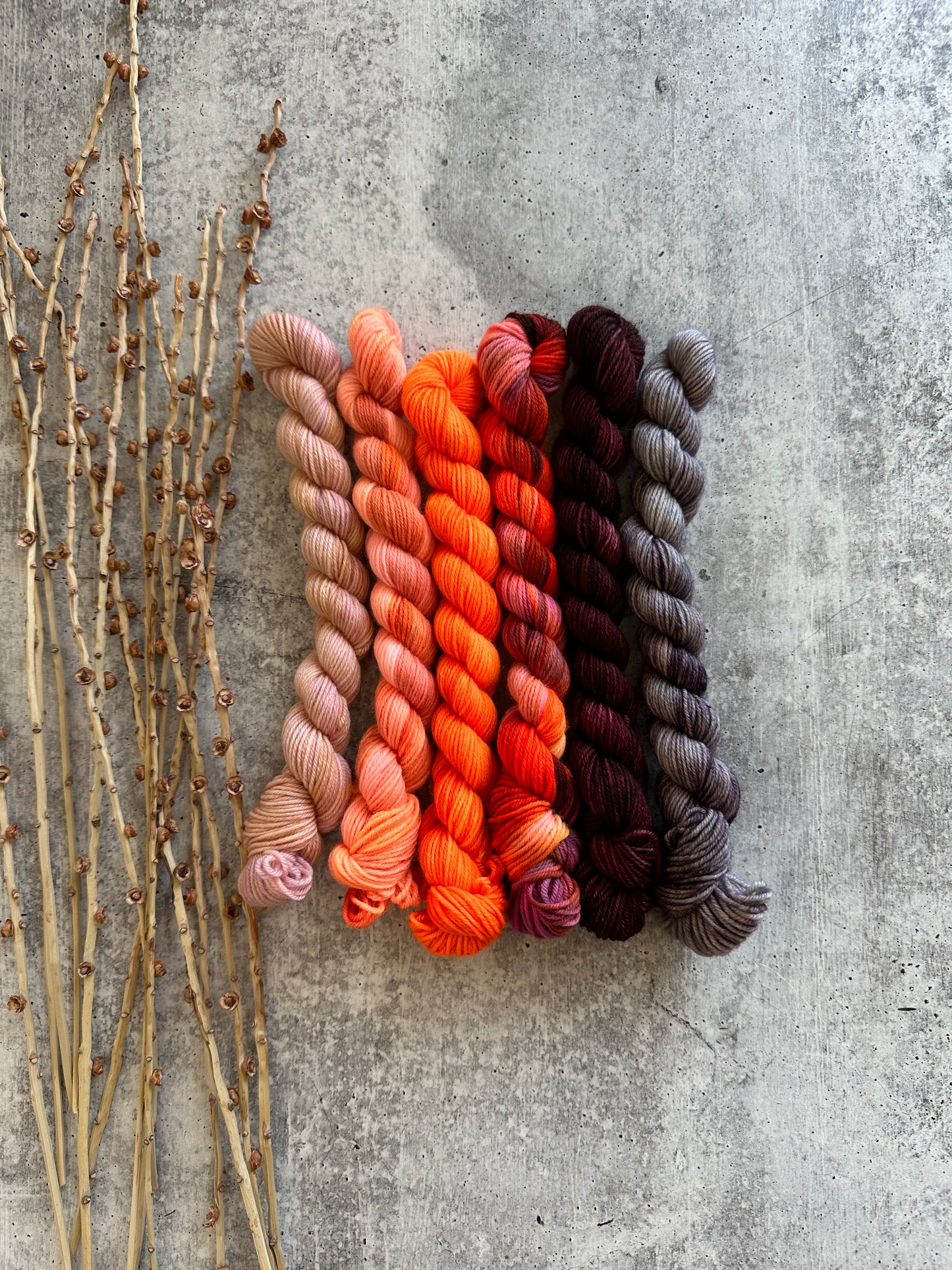 Poppy Field - SW Merino Nylon Mini Skein Set