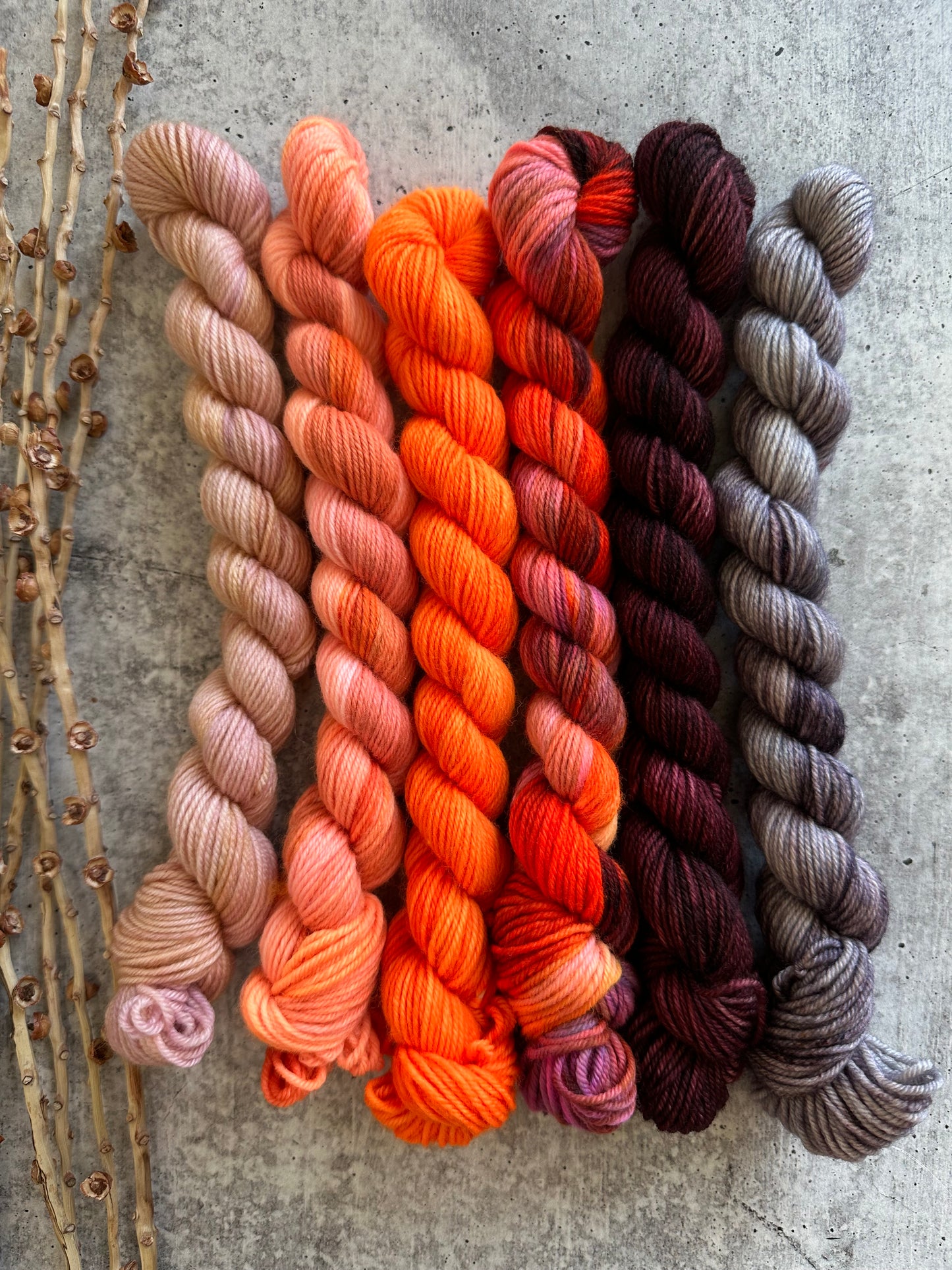Poppy Field - SW Merino Nylon Mini Skein Set